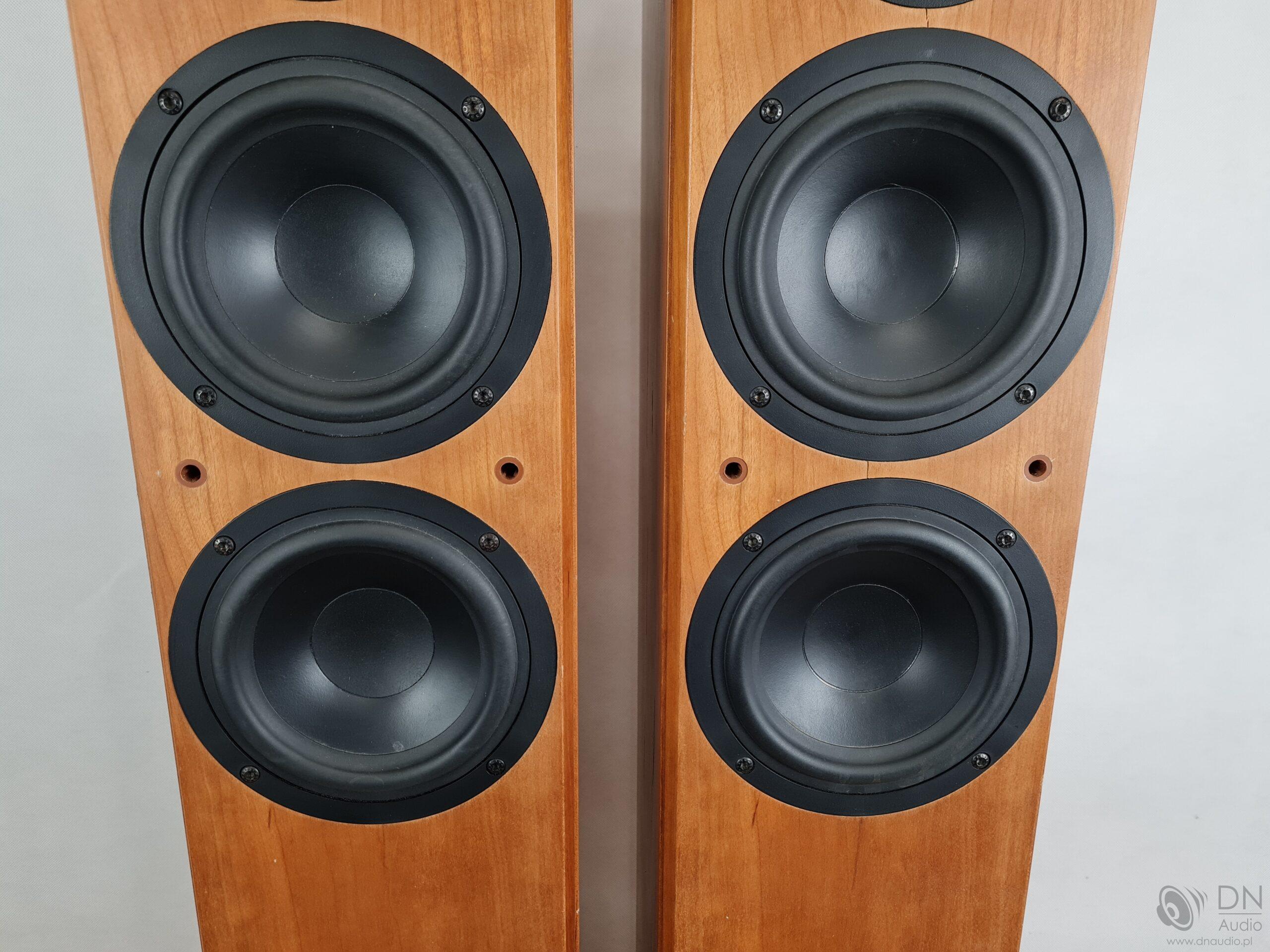 Tannoy Revolution R2 - obrazek 5