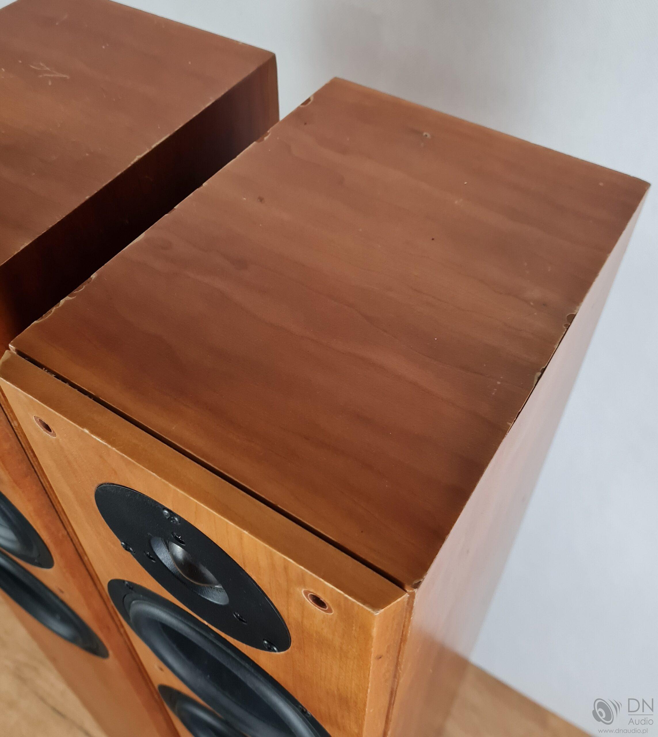Tannoy Revolution R2 - obrazek 7