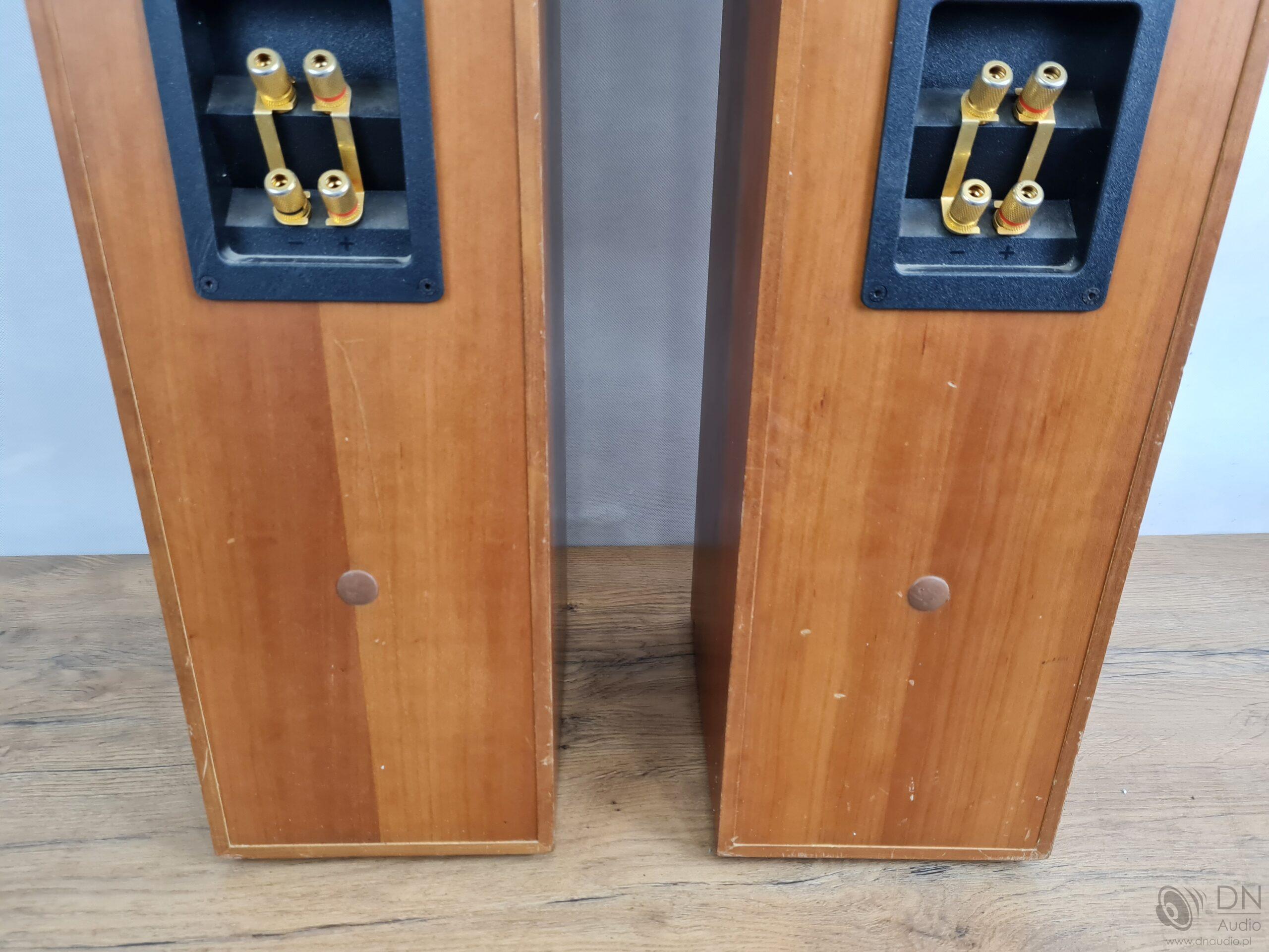 Tannoy Revolution R2 - obrazek 17