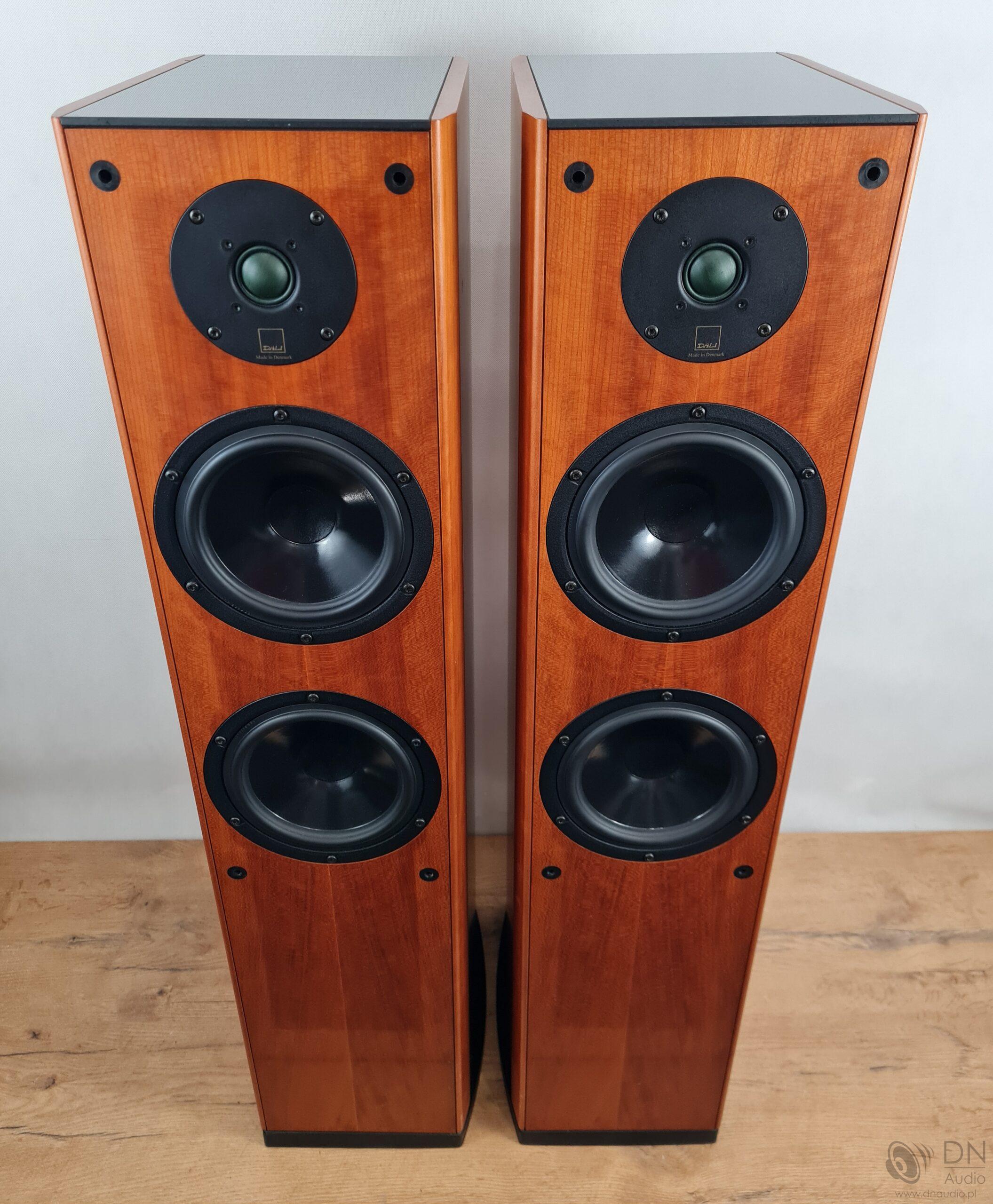 Dali Evidence 470 - obrazek 2