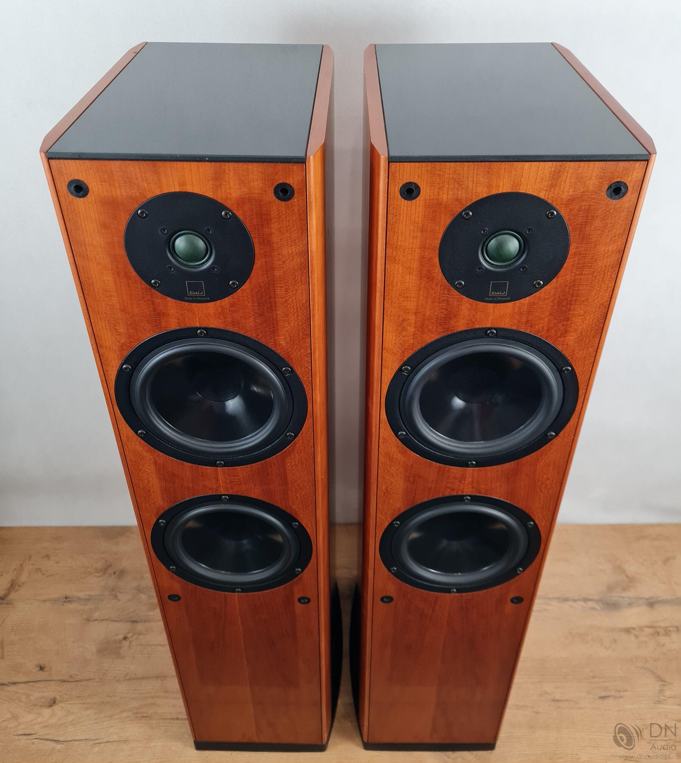 Dali Evidence 470 - obrazek 3