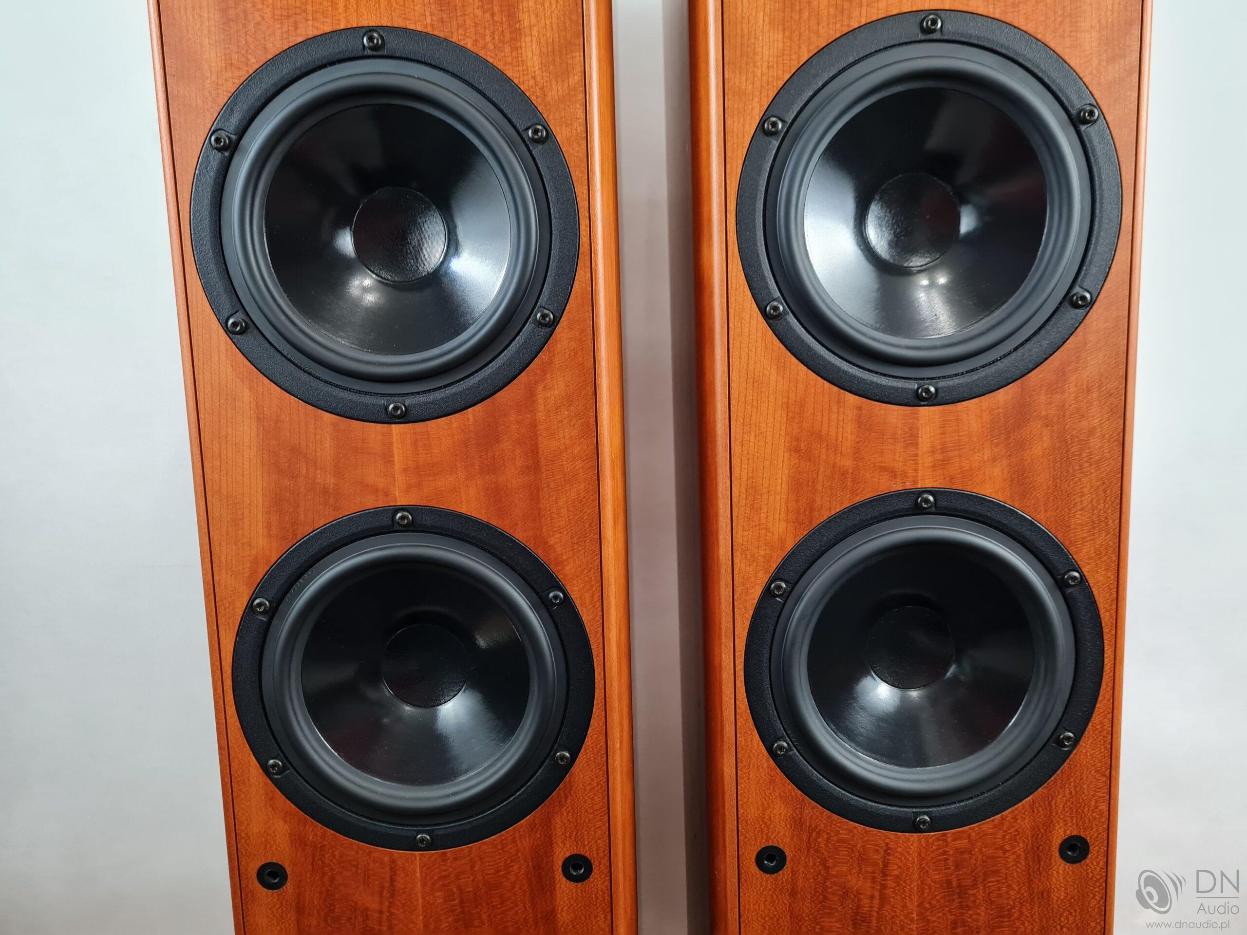 Dali Evidence 470 - obrazek 7