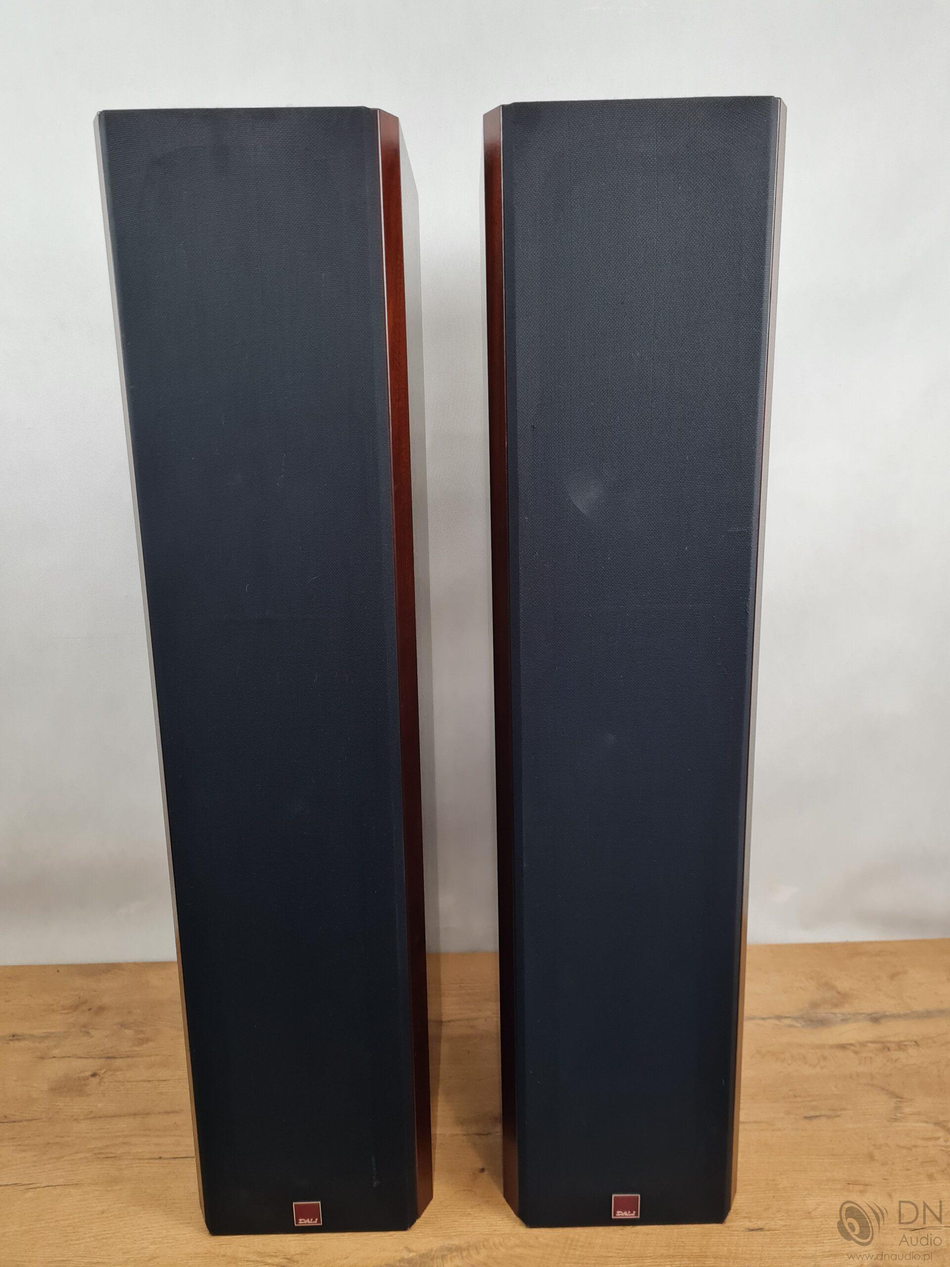 Dali 450 - obrazek 5