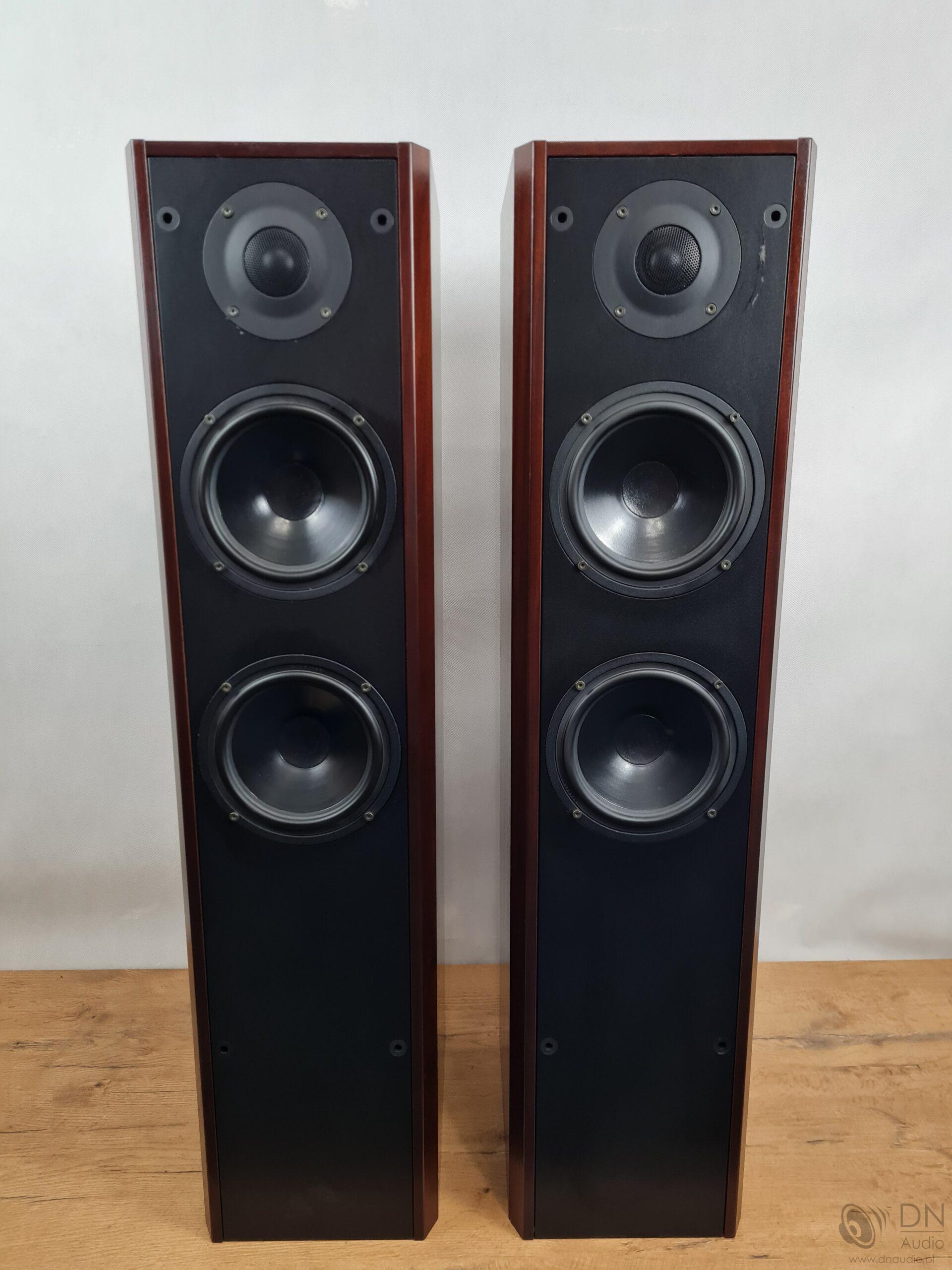 Dali 450 - obrazek 3