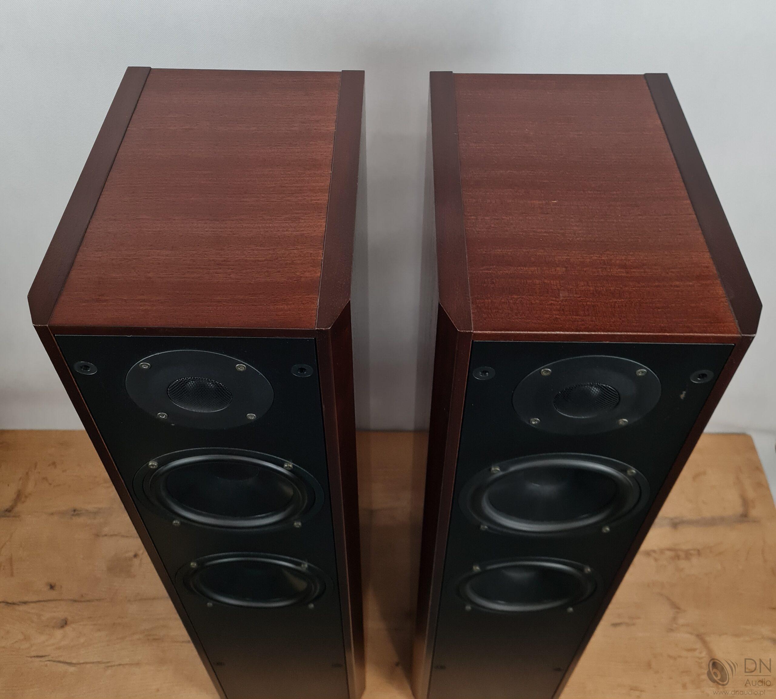 Dali 450 - obrazek 6