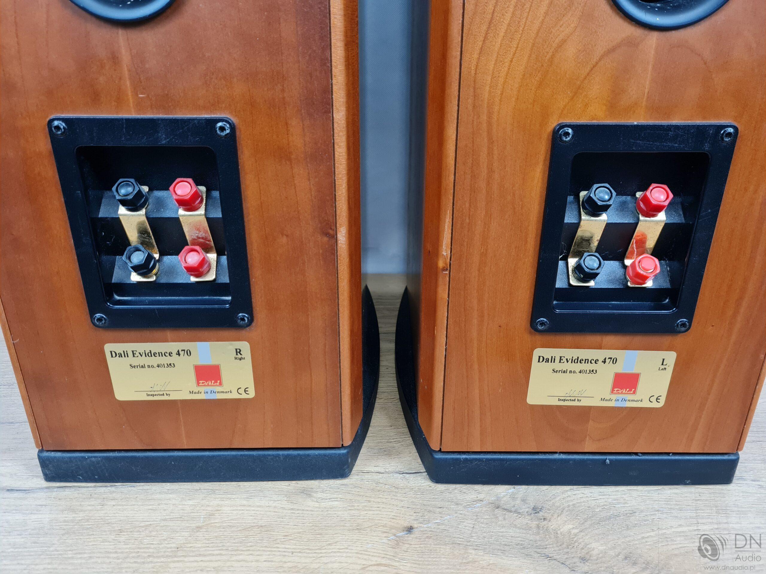 Dali Evidence 470 - obrazek 13