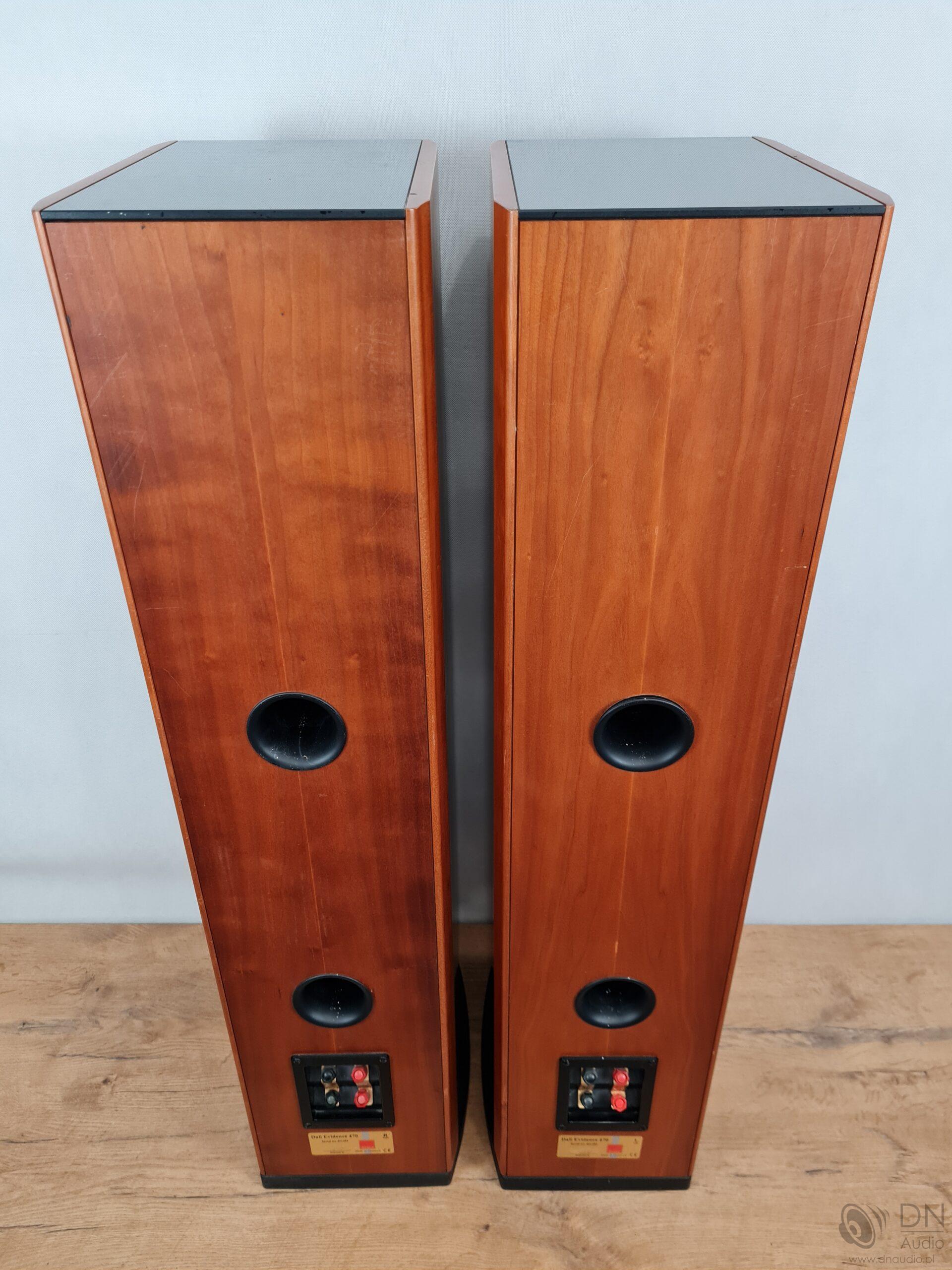 Dali Evidence 470 - obrazek 12