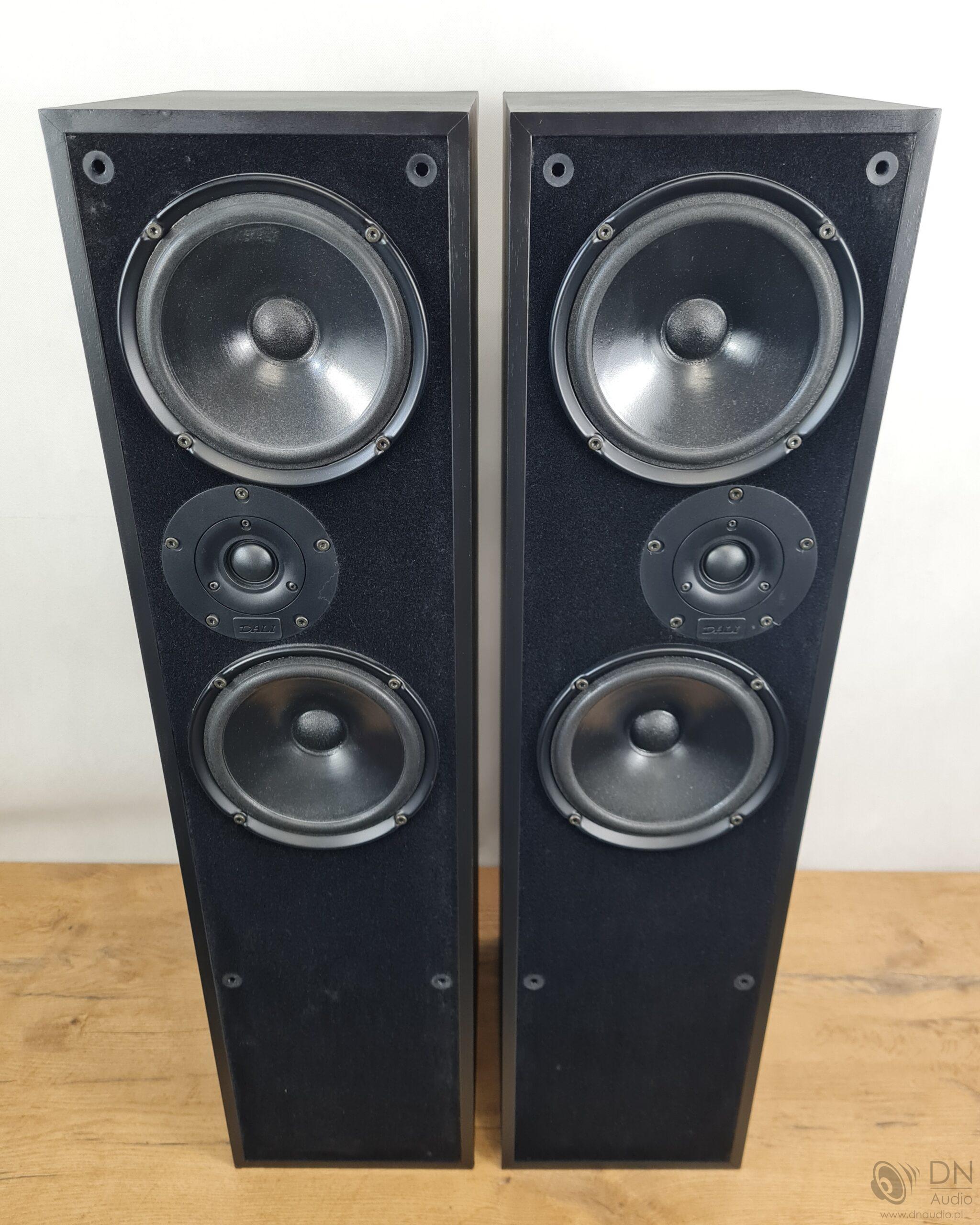 Dali 104 - obrazek 3