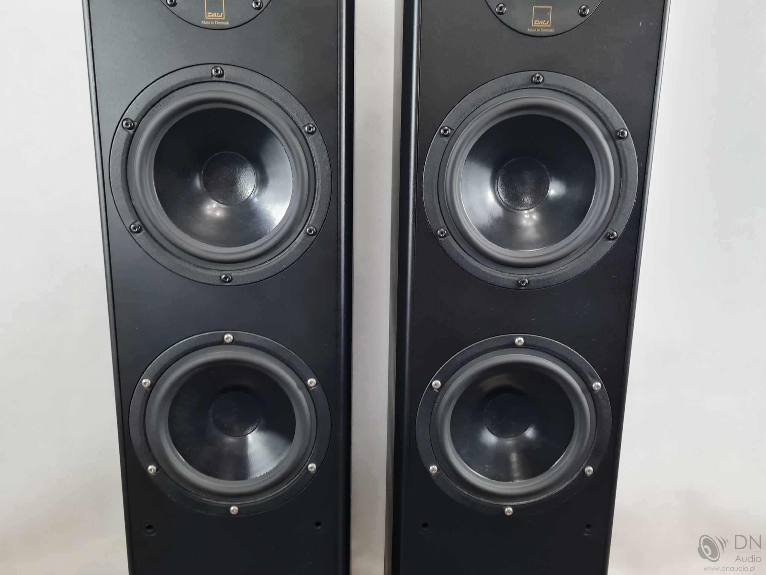 Dali Evidence 470 - obrazek 6