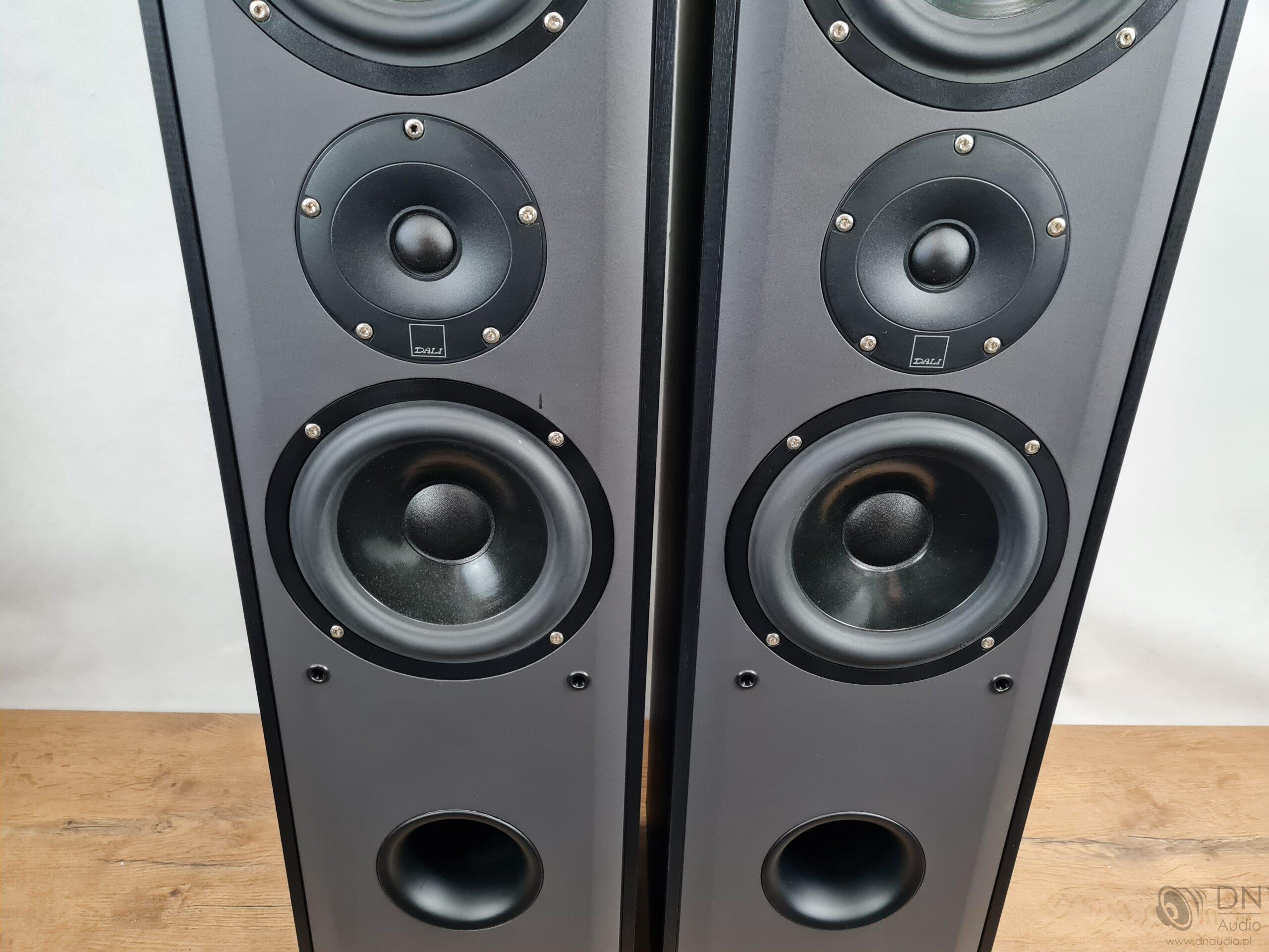 Dali Blue 5005 - obrazek 16