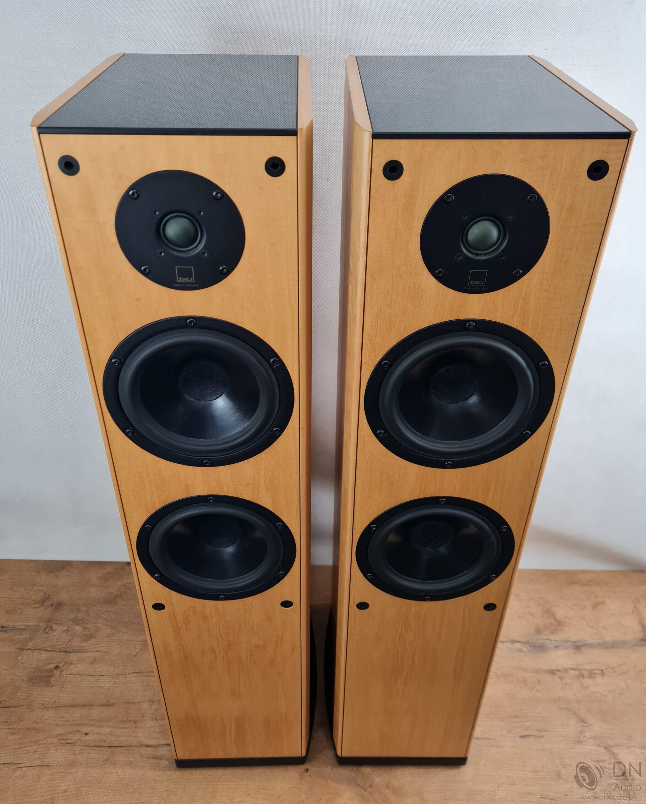 Dali Evidence 470 - obrazek 2