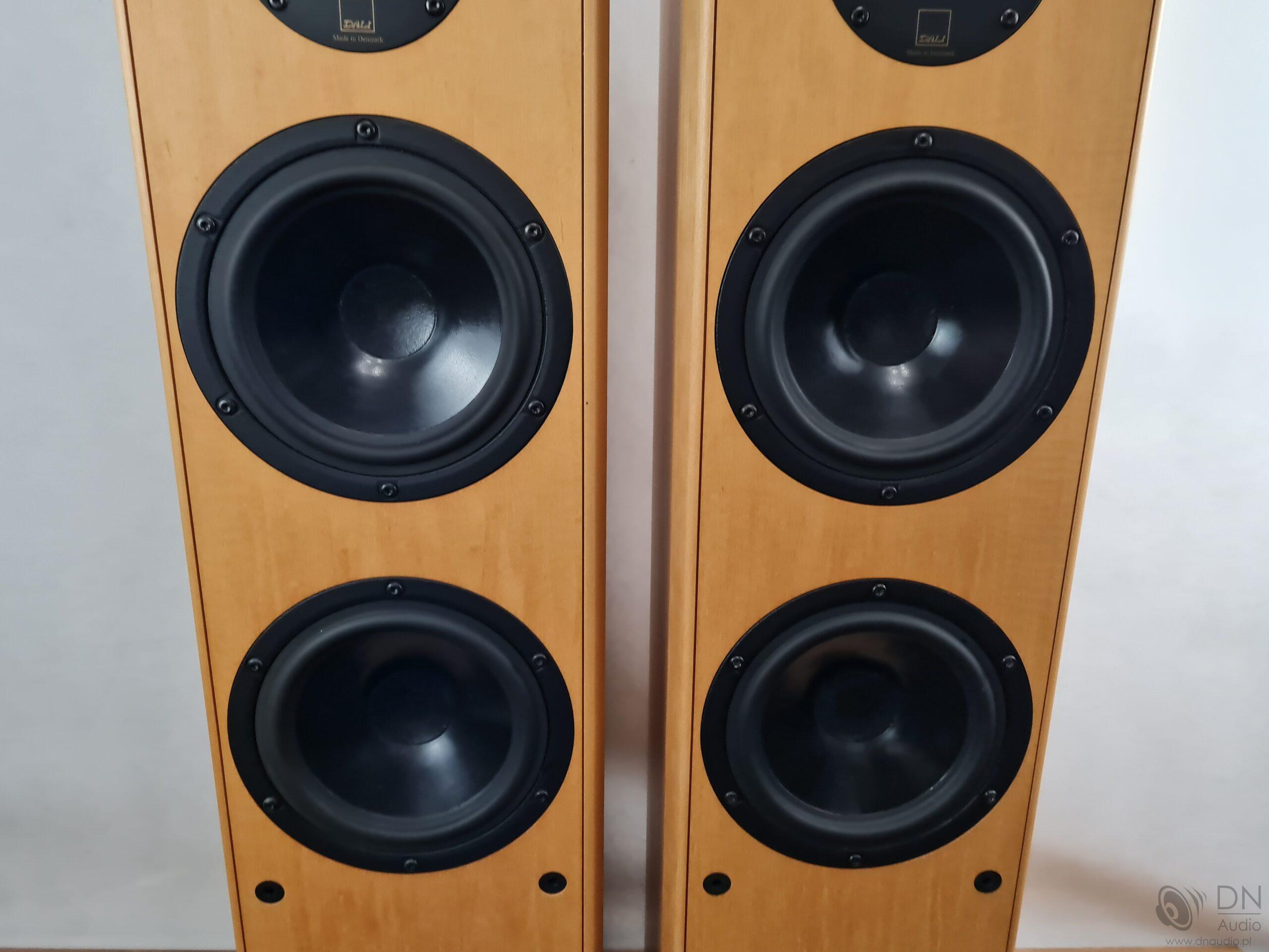 Dali Evidence 470 - obrazek 6