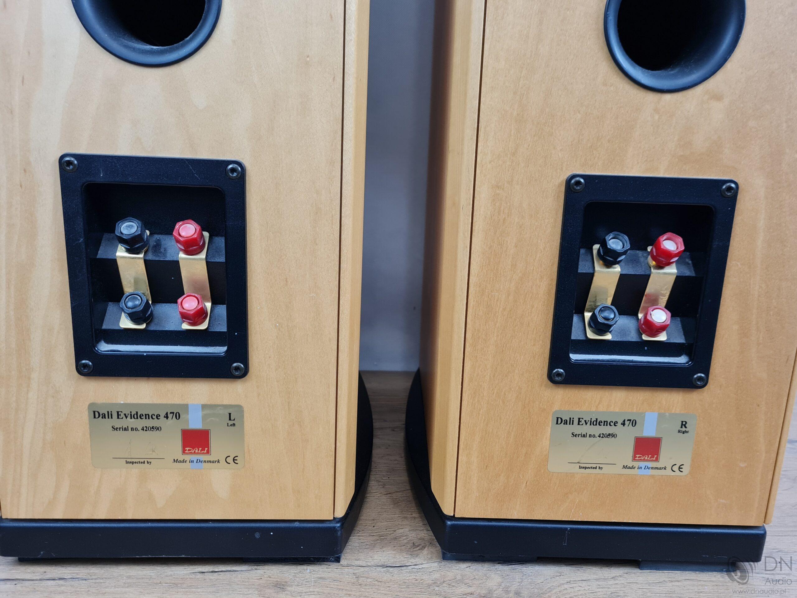 Dali Evidence 470 - obrazek 15