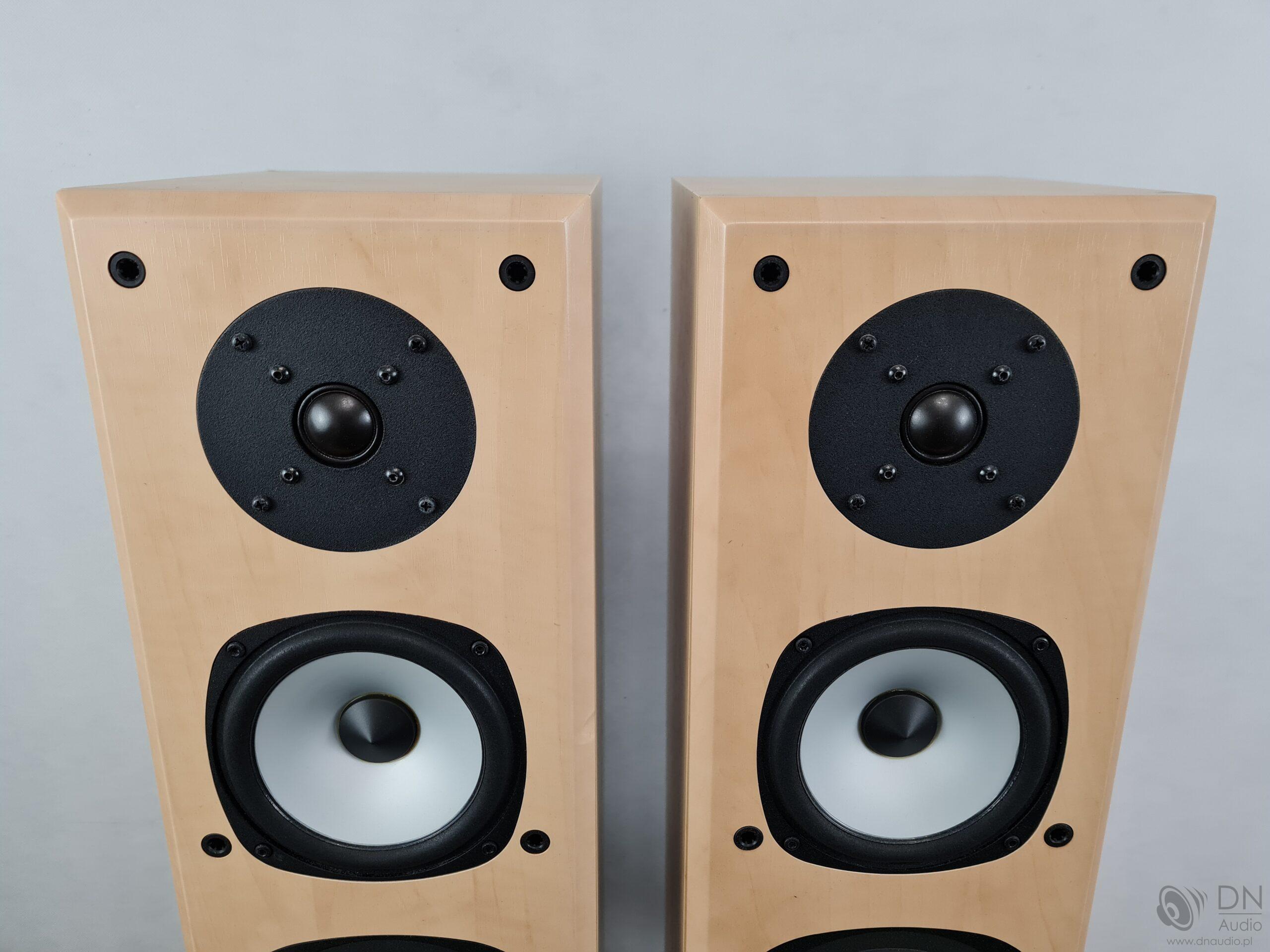 Acoustic Energy Aegis Evo Three - obrazek 6