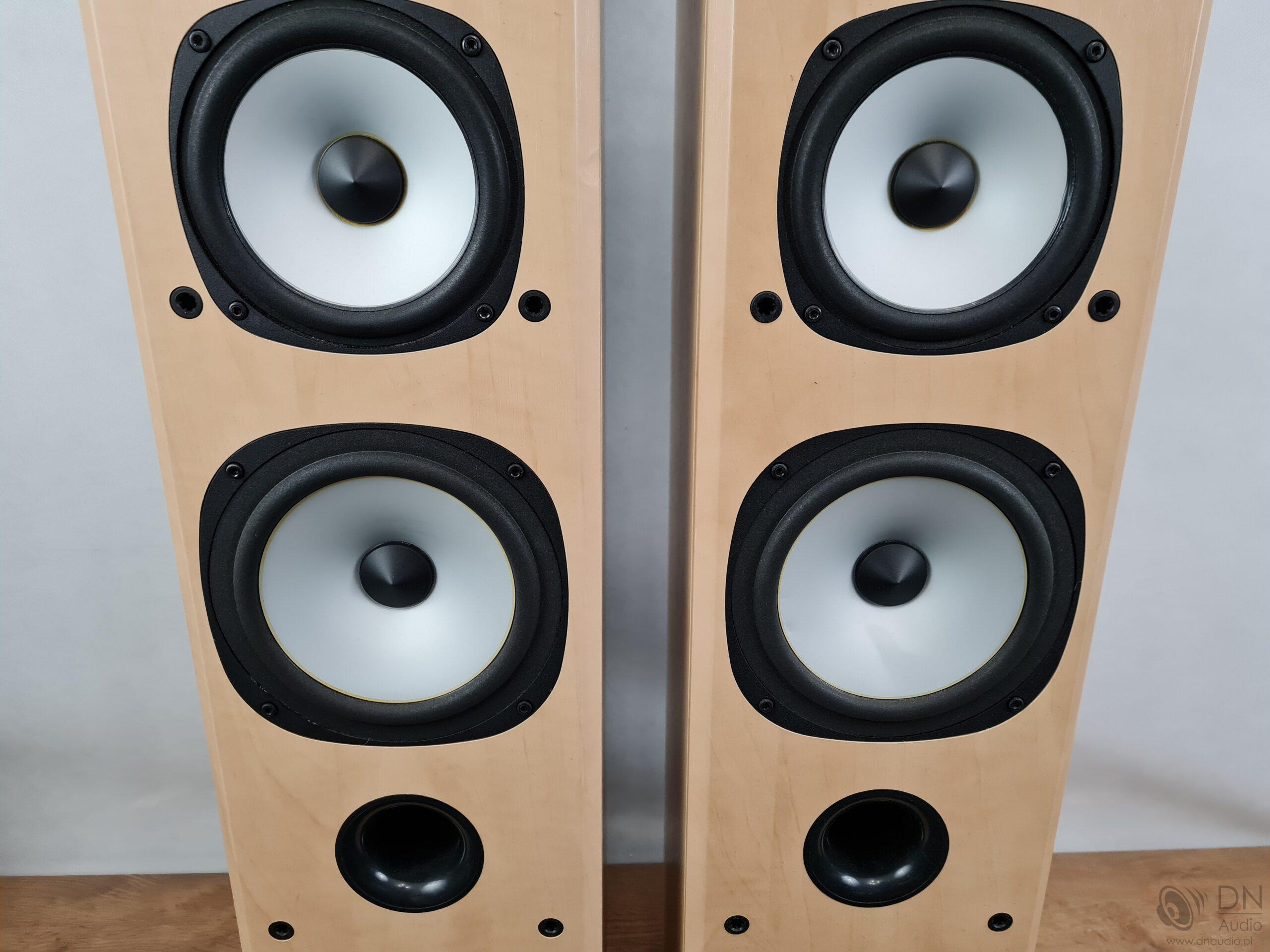 Acoustic Energy Aegis Evo Three - obrazek 7