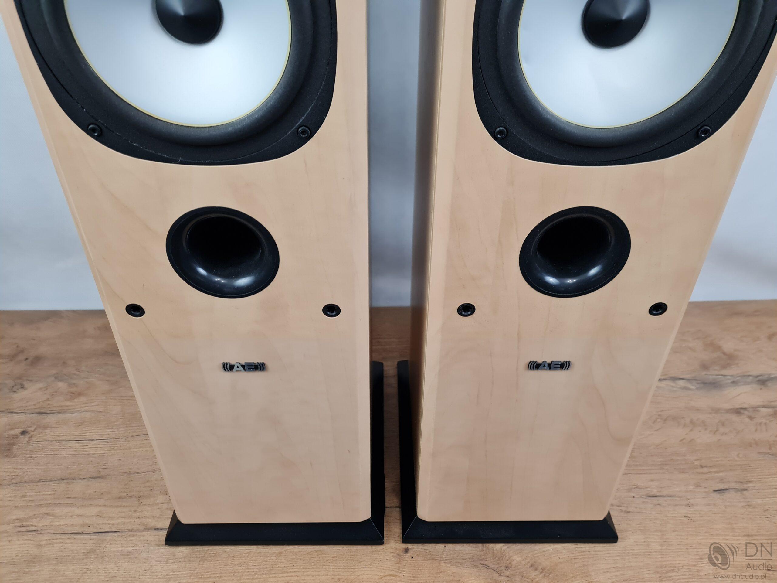 Acoustic Energy Aegis Evo Three - obrazek 8