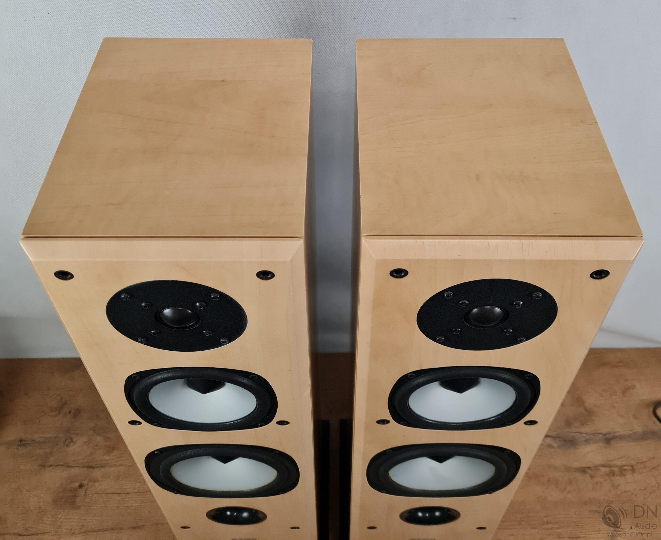 Acoustic Energy Aegis Evo Three - obrazek 9