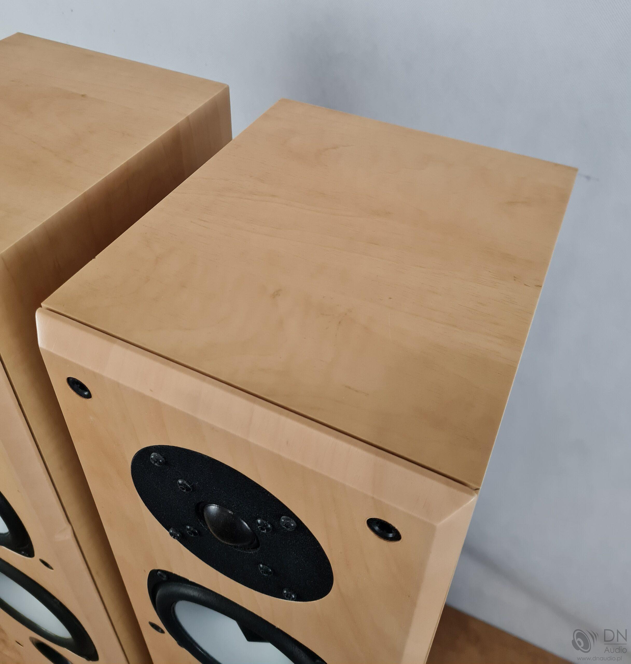 Acoustic Energy Aegis Evo Three - obrazek 10