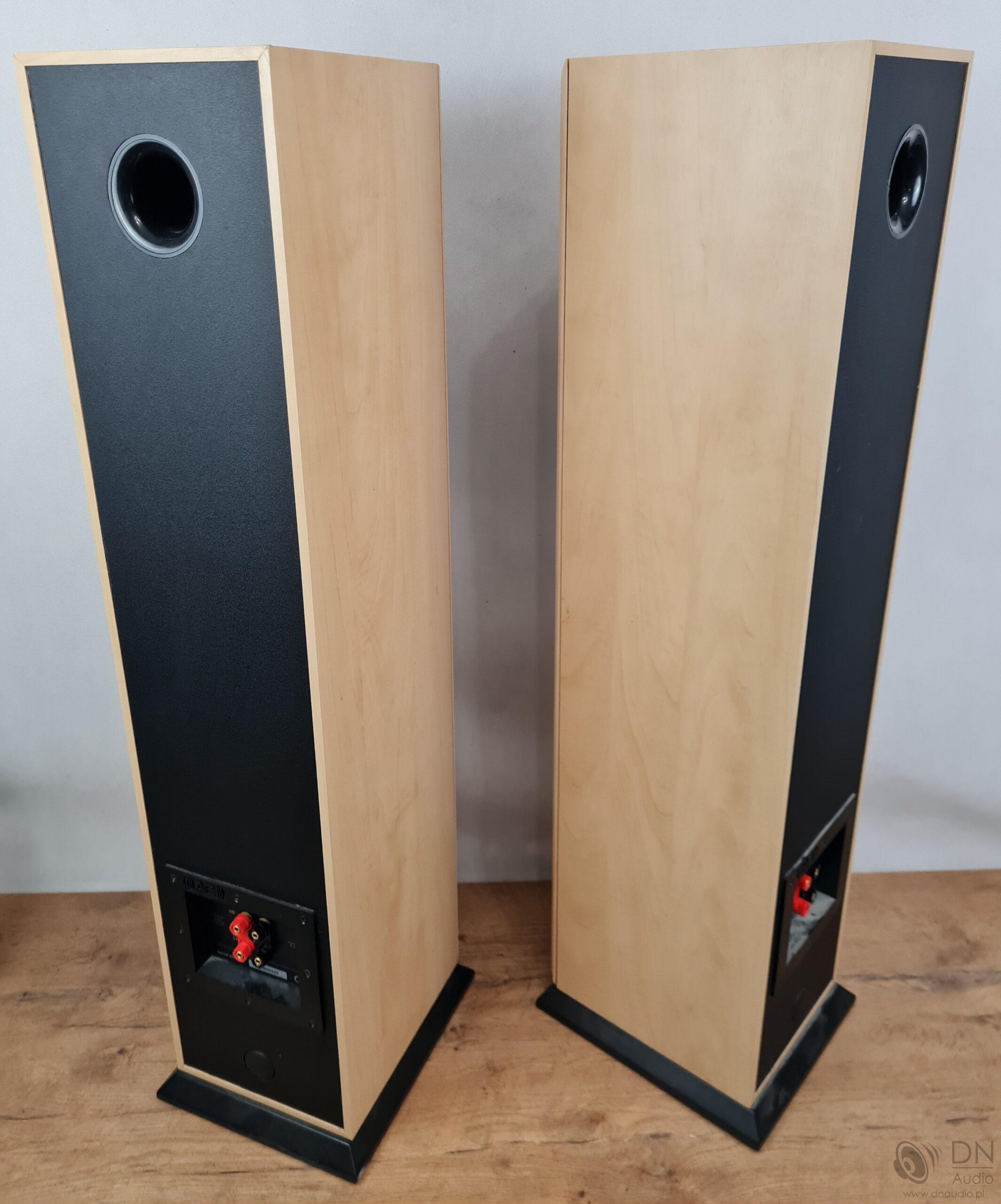 Acoustic Energy Aegis Evo Three - obrazek 14