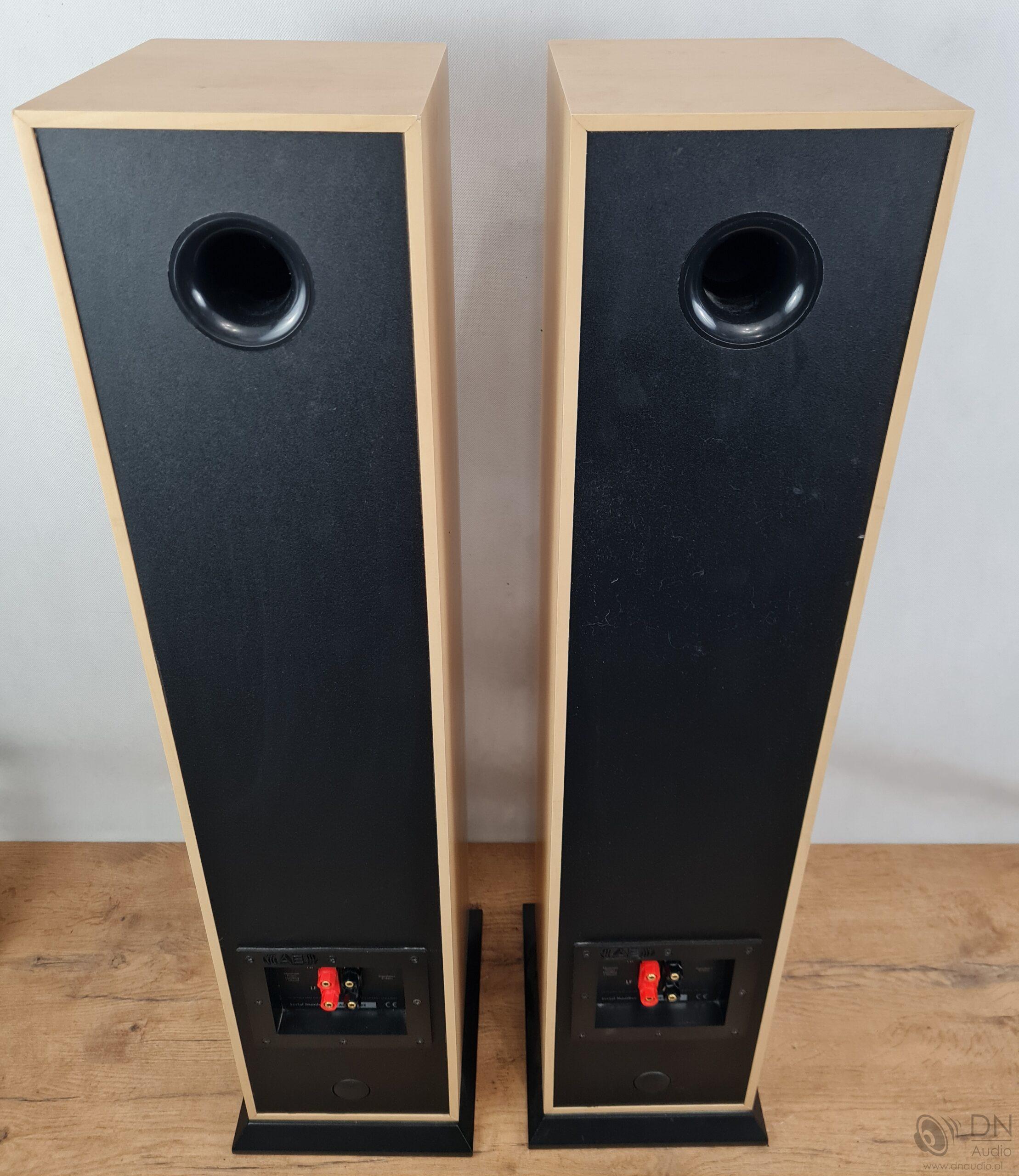 Acoustic Energy Aegis Evo Three - obrazek 15