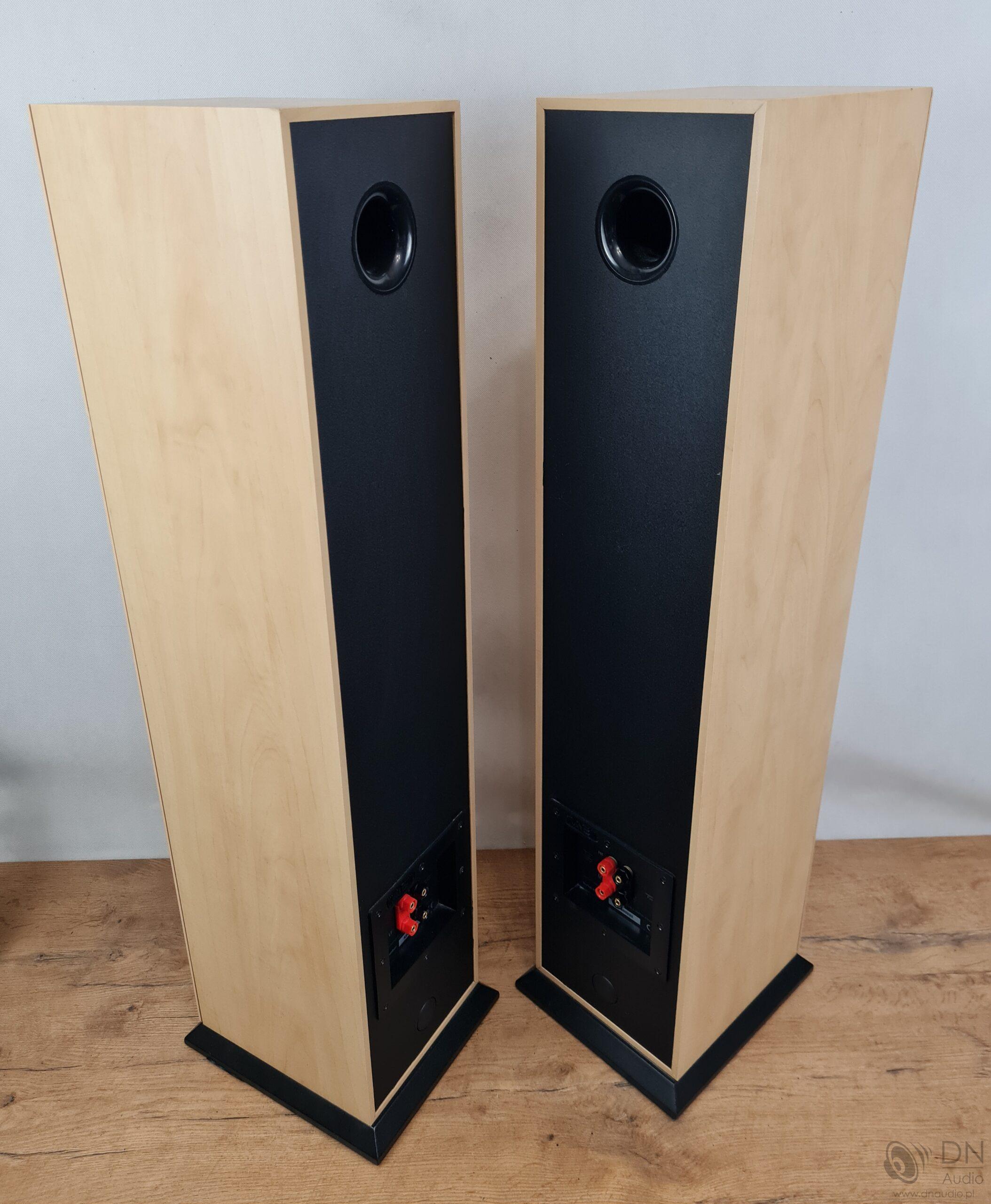 Acoustic Energy Aegis Evo Three - obrazek 17