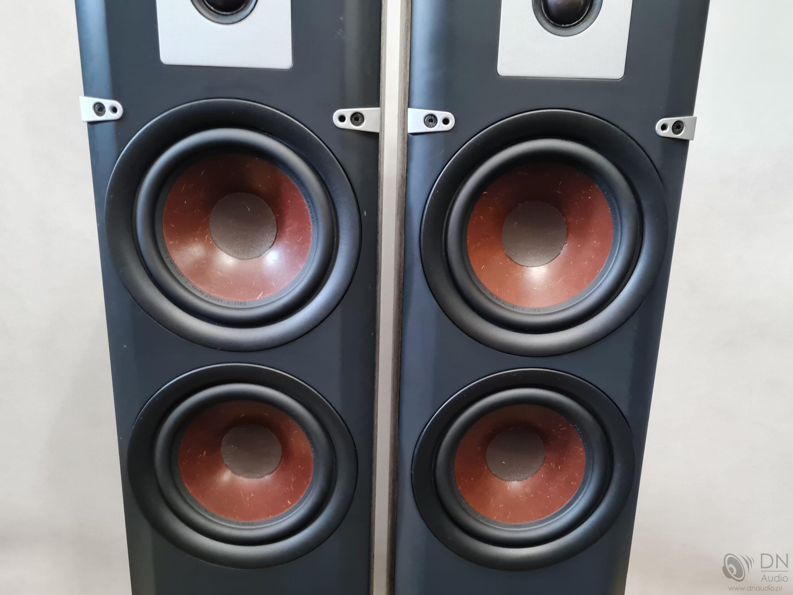 Dali Lektor 6 - obrazek 7