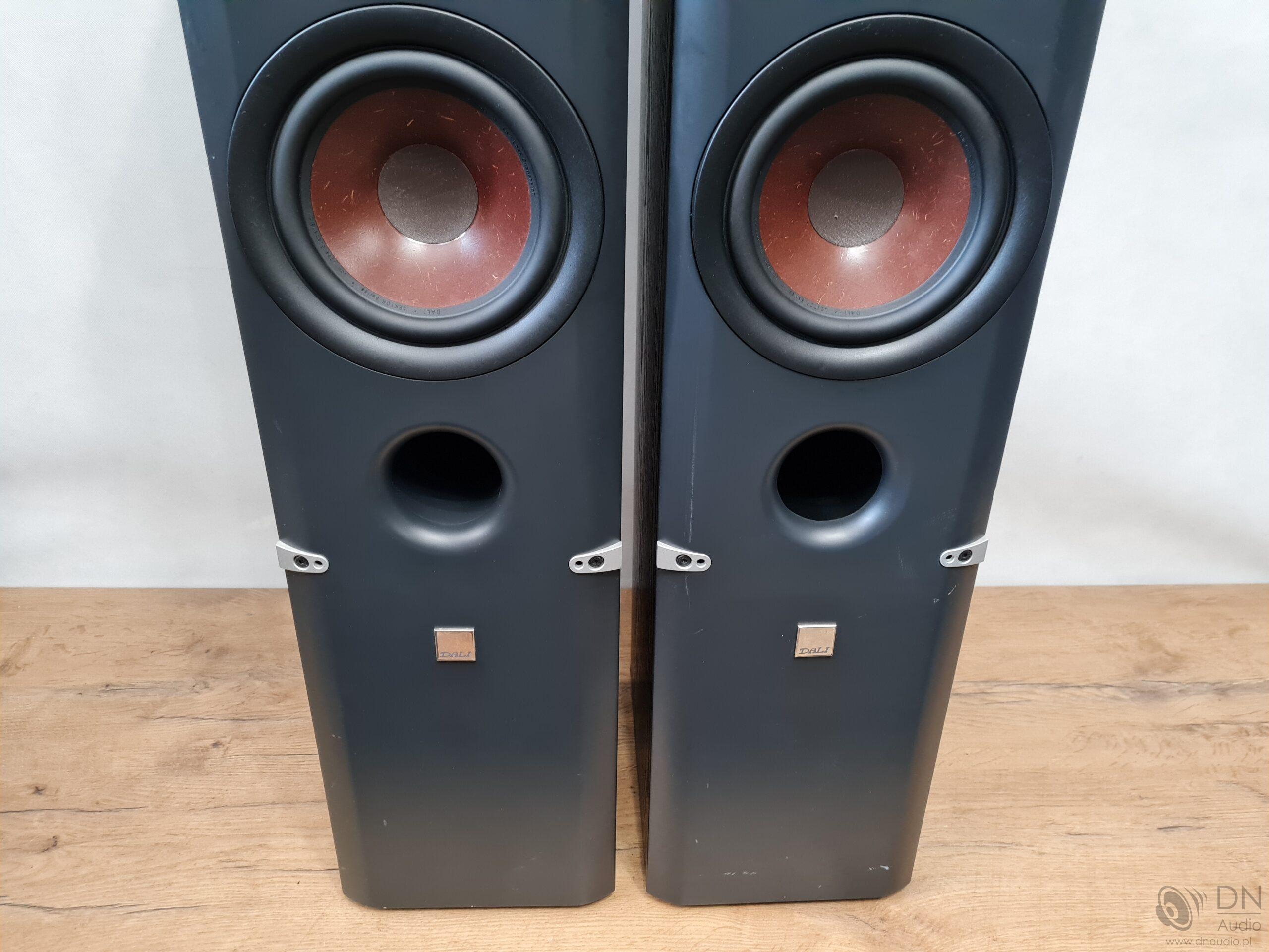 Dali Lektor 6 - obrazek 8