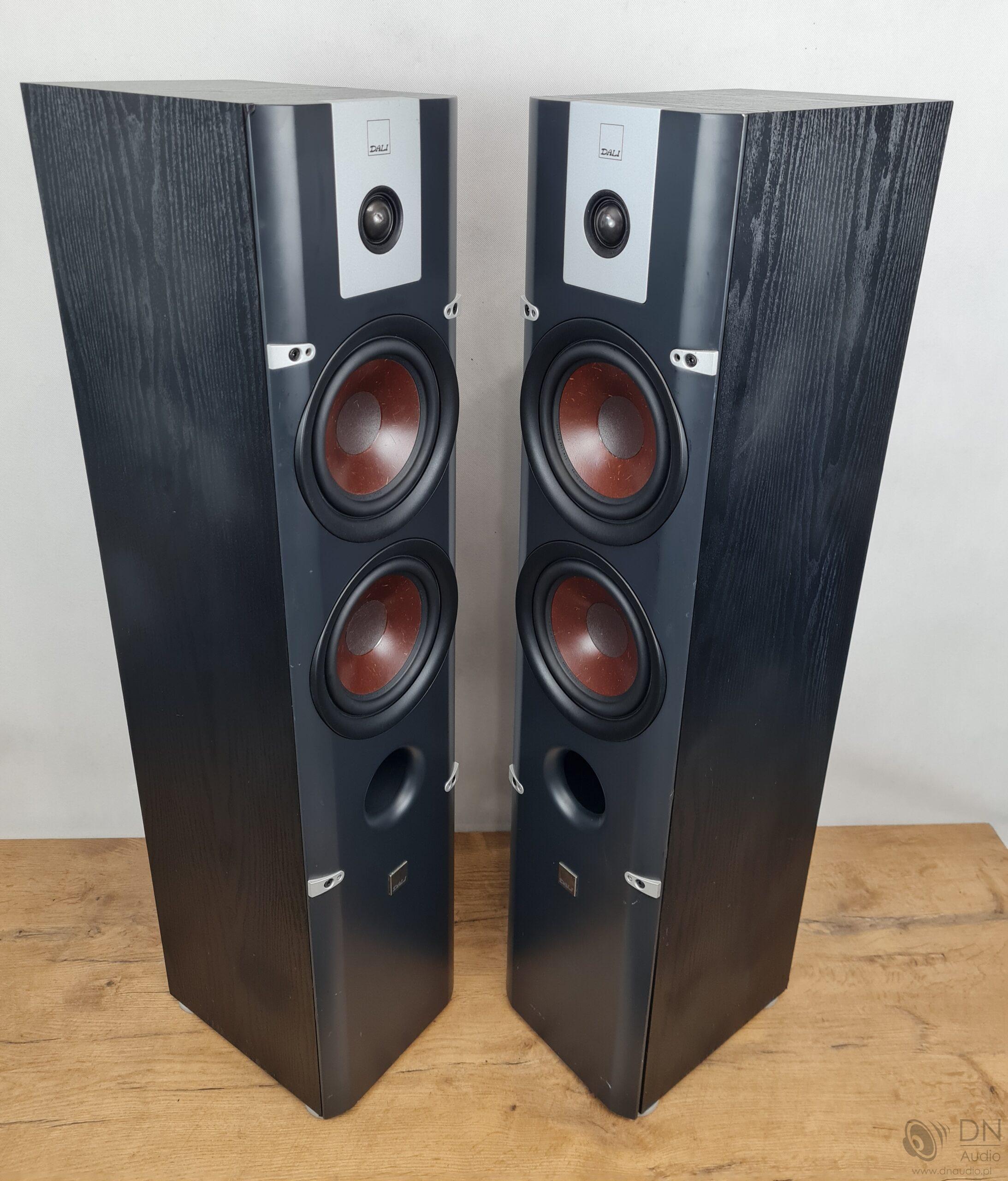 Dali Lektor 6 - obrazek 13