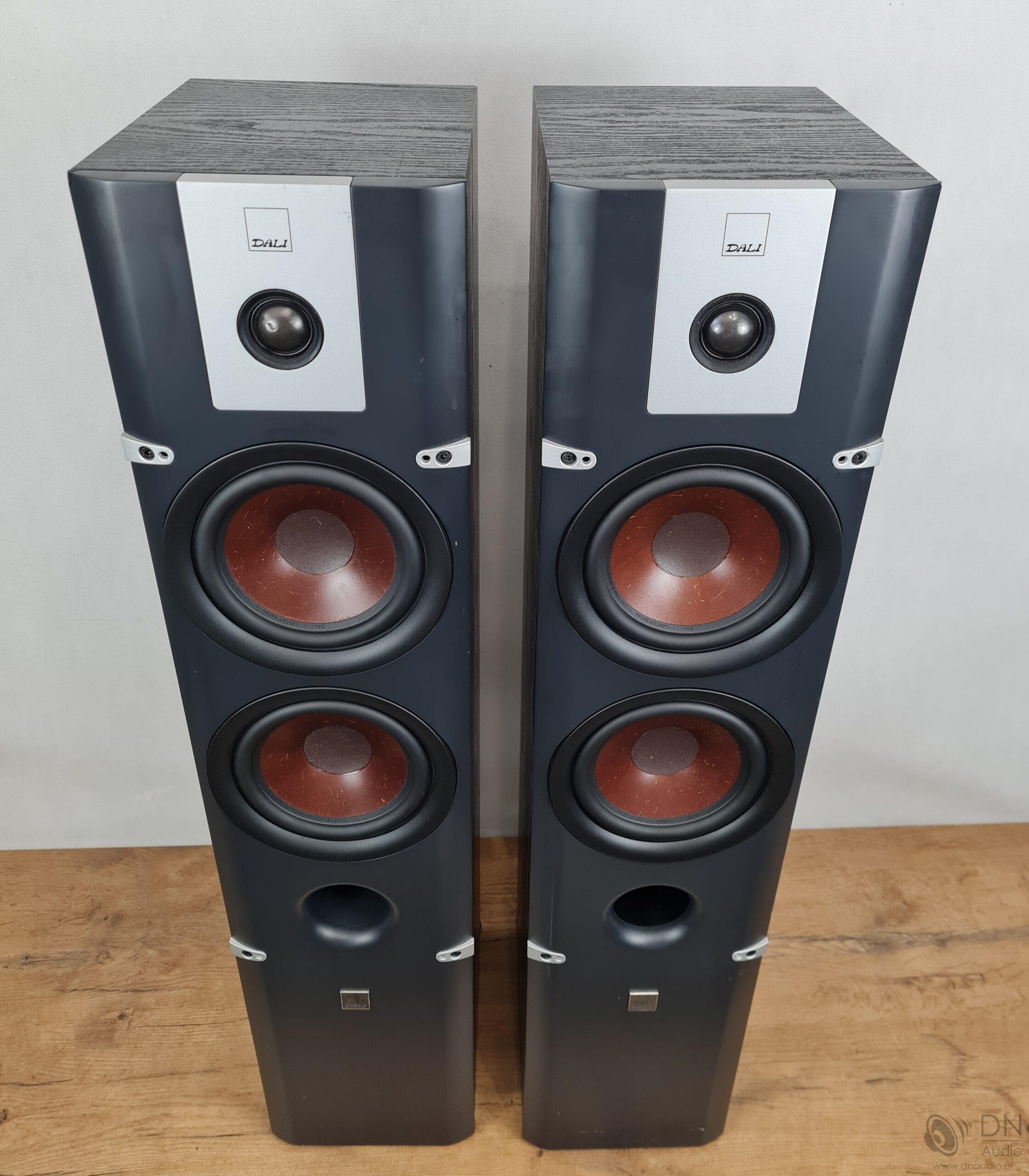 Dali Lektor 6 - obrazek 2