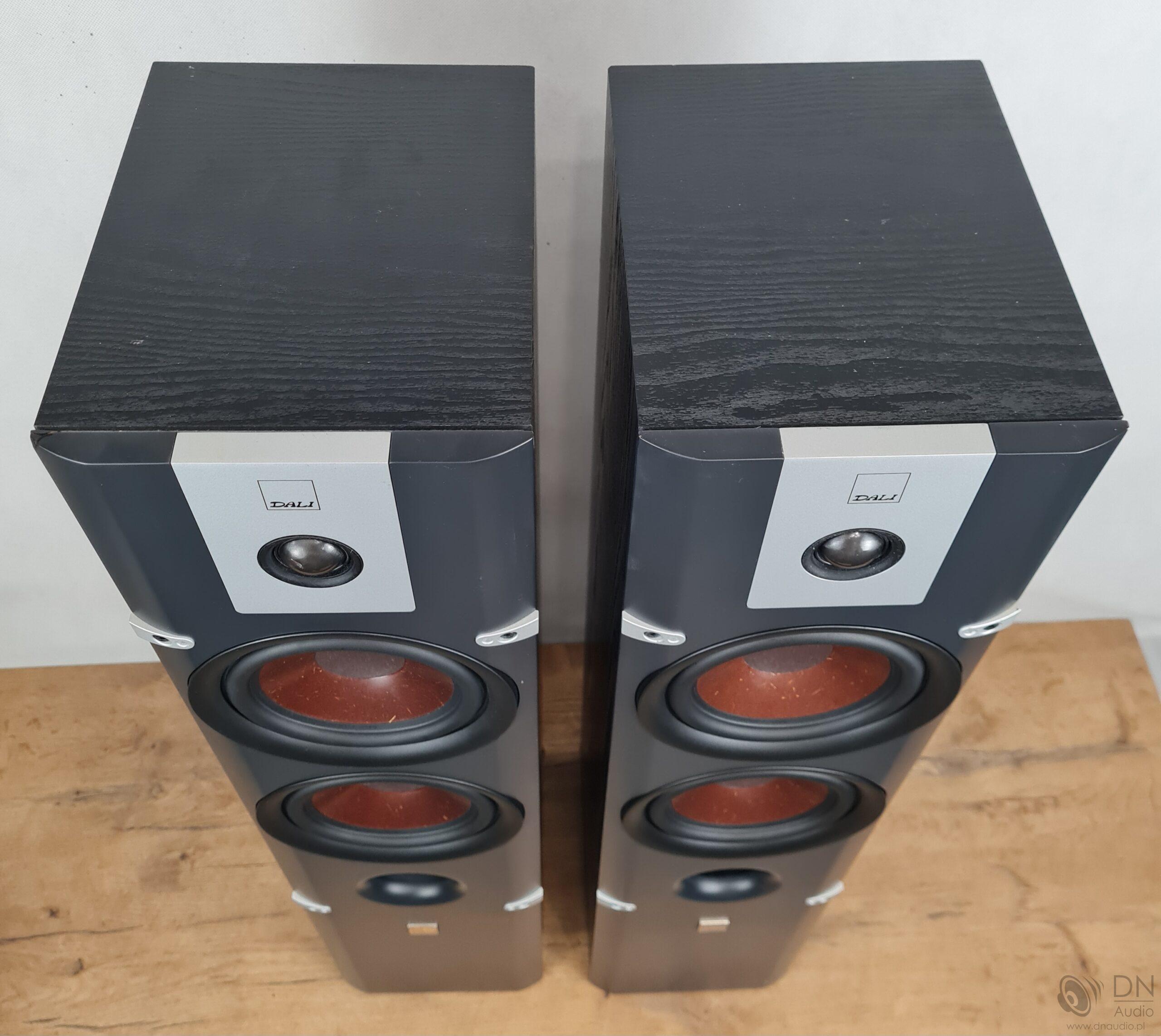 Dali Lektor 6 - obrazek 10