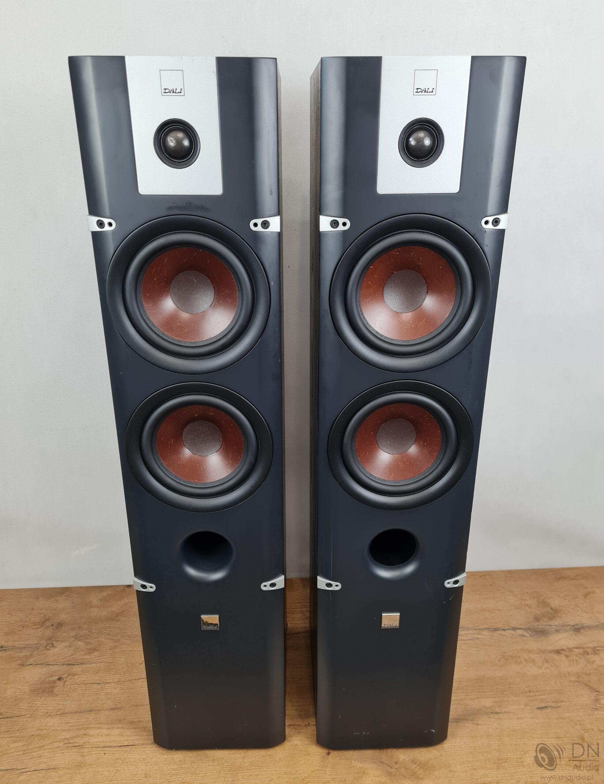 Dali Lektor 6 - obrazek 3