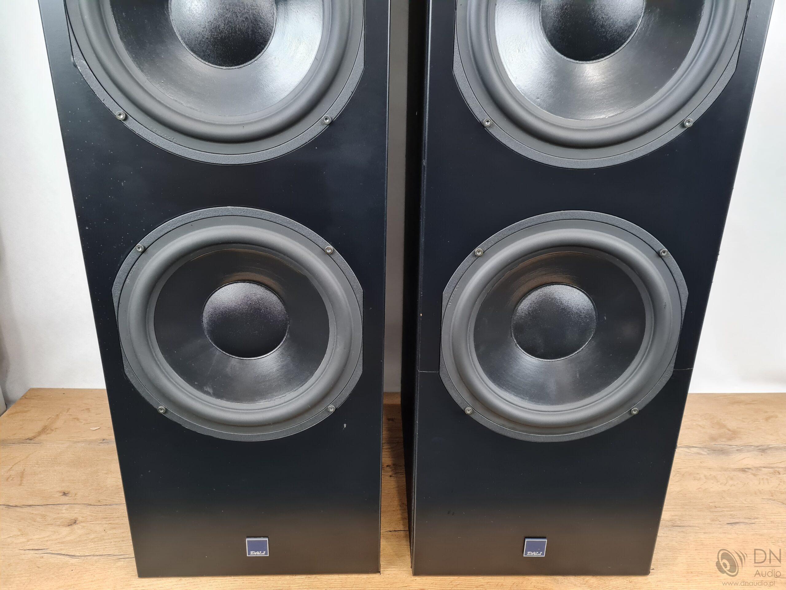 Dali 909 - obrazek 4