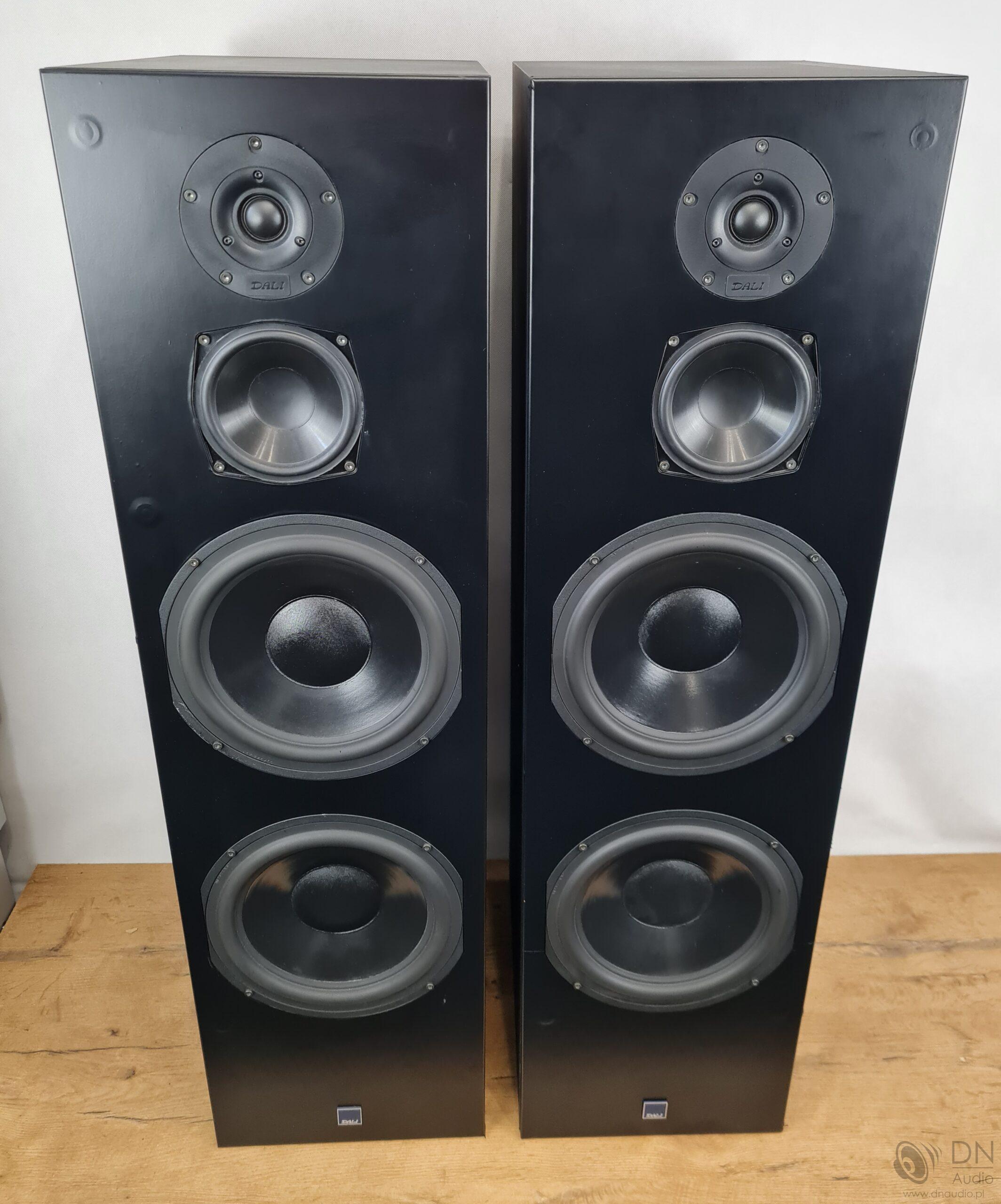 Dali 909 - obrazek 6