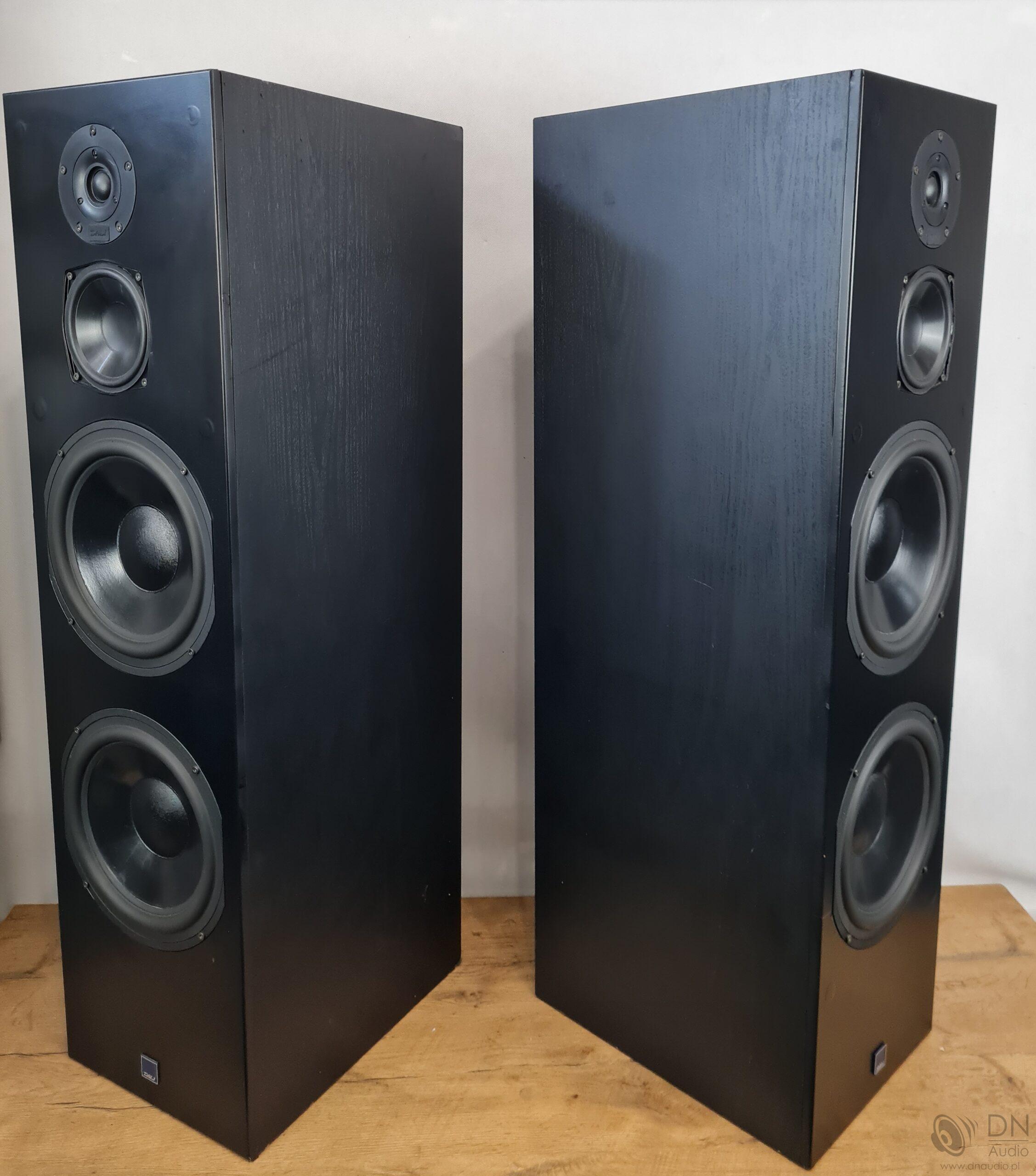 Dali 909 - obrazek 8