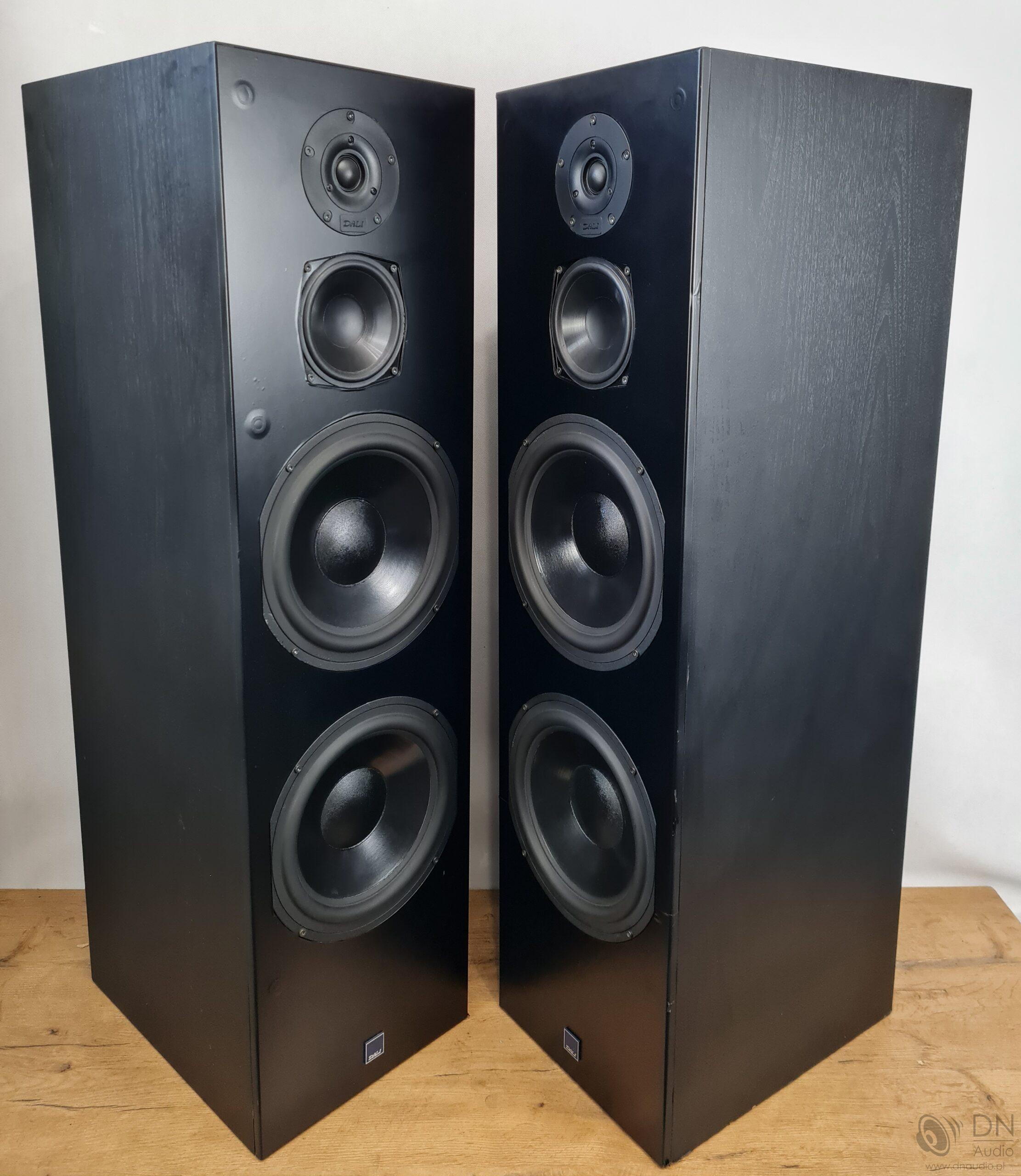 Dali 909 - obrazek 9