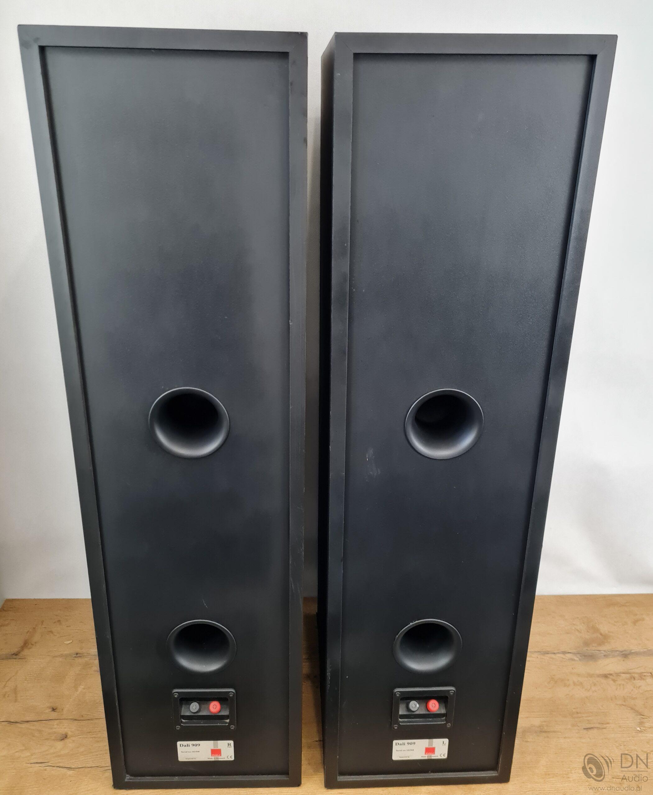 Dali 909 - obrazek 11