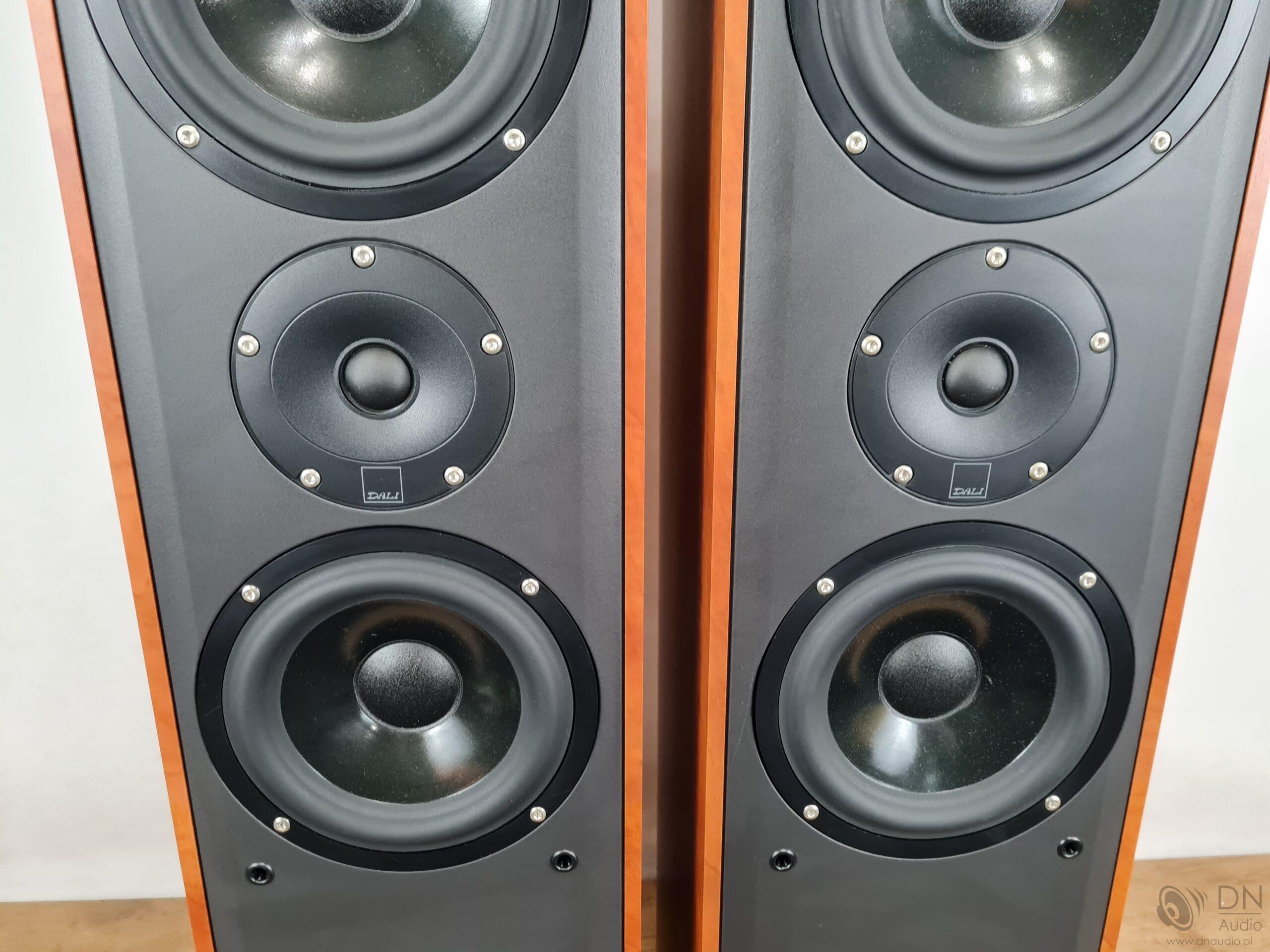 Dali Blue 5005 - obrazek 7