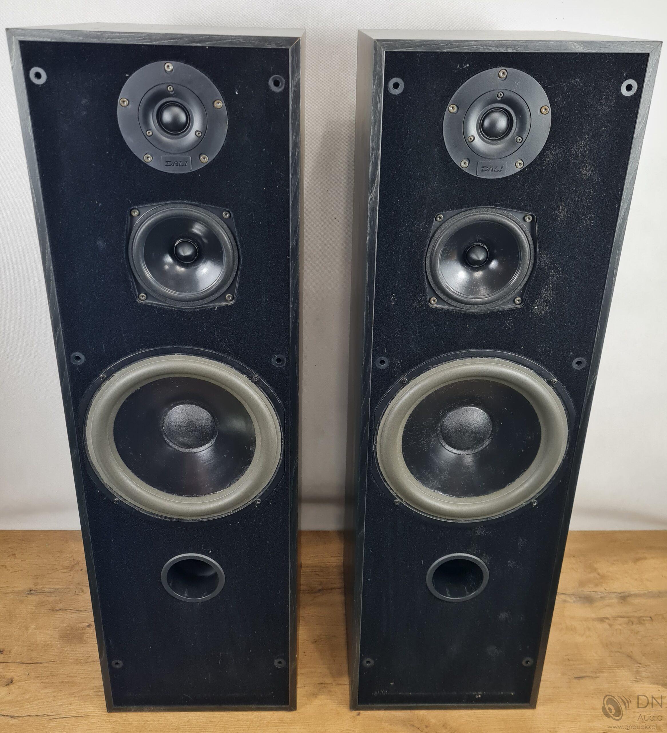 Dali 107 - obrazek 3