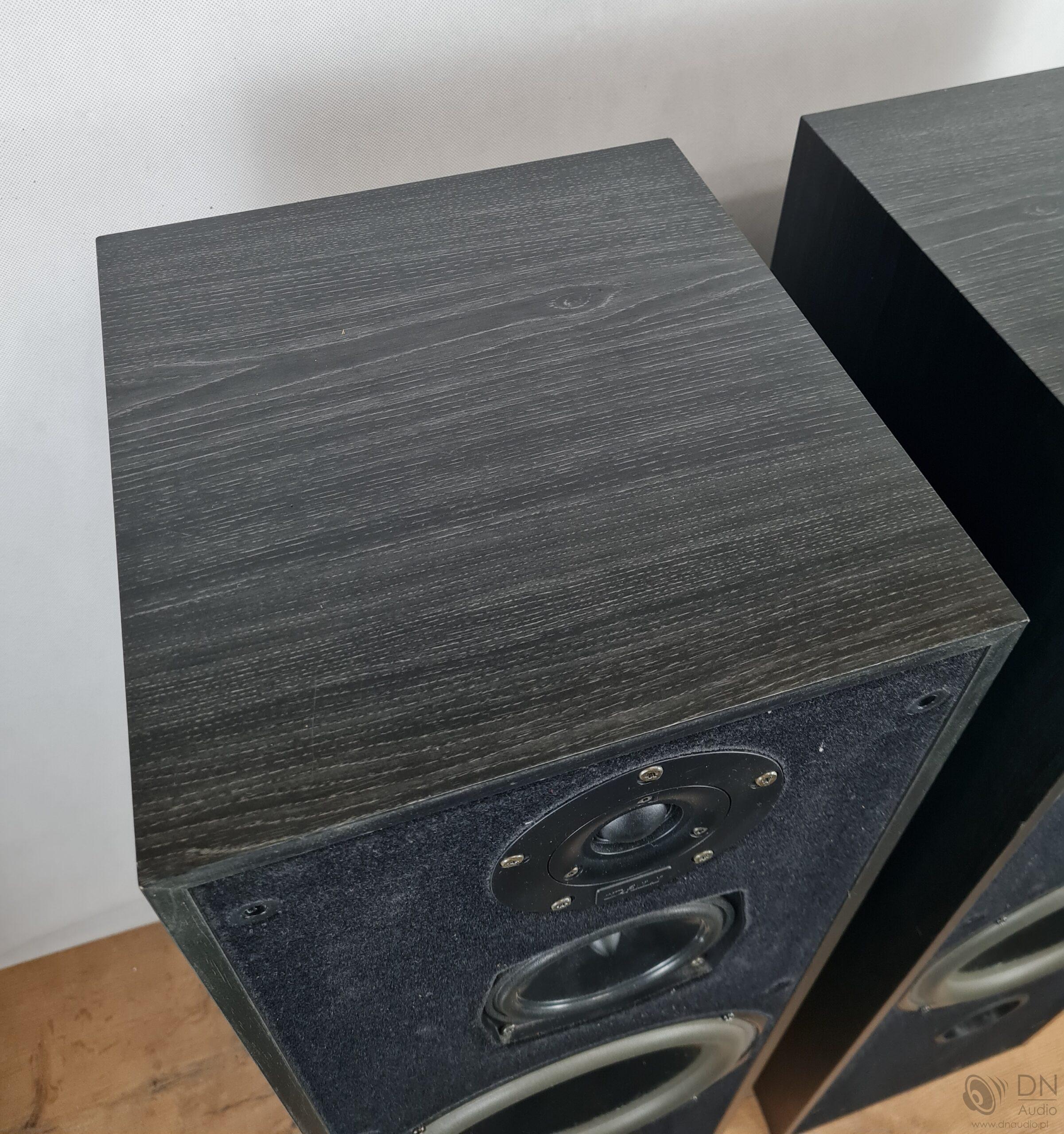 Dali 107 - obrazek 6