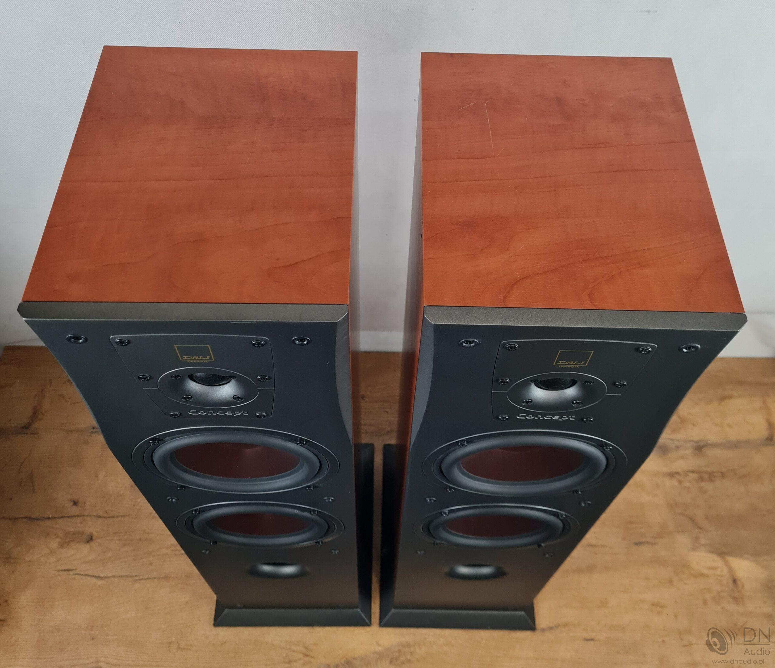 Dali Concept 6 - obrazek 8