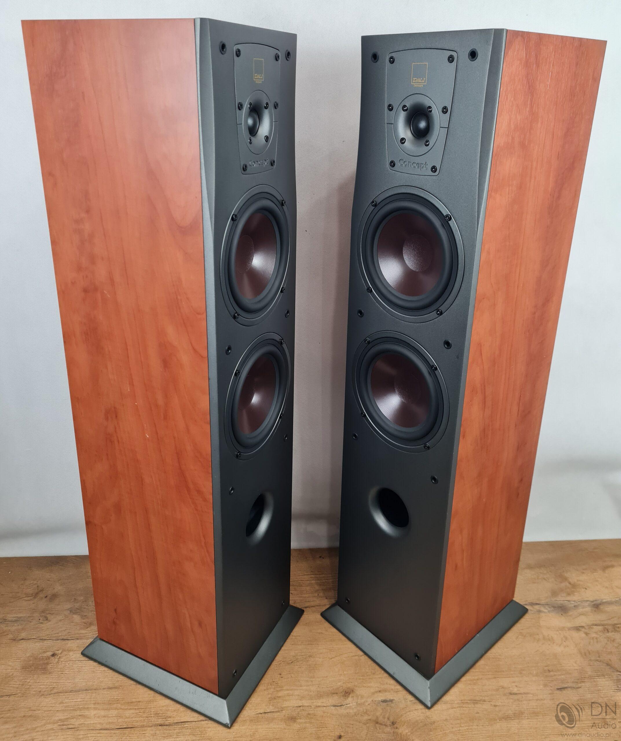 Dali Concept 6 - obrazek 10