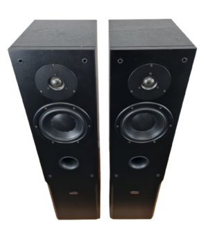 Dynaudio Audience 62