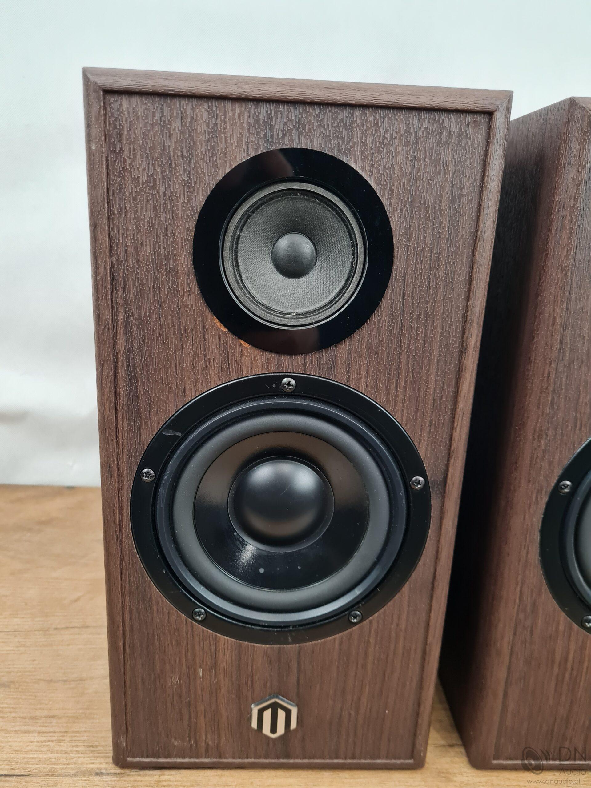 Pylon Audio Topaz Monitor - obrazek 3