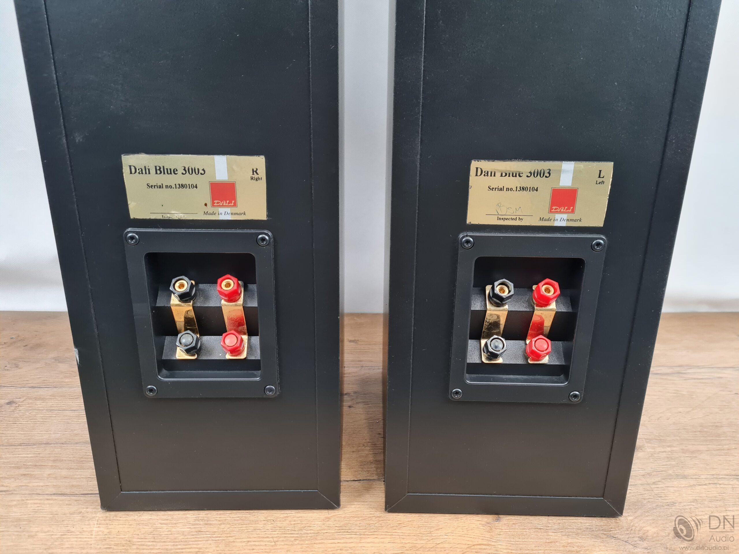 Dali Blue 3003 - obrazek 15