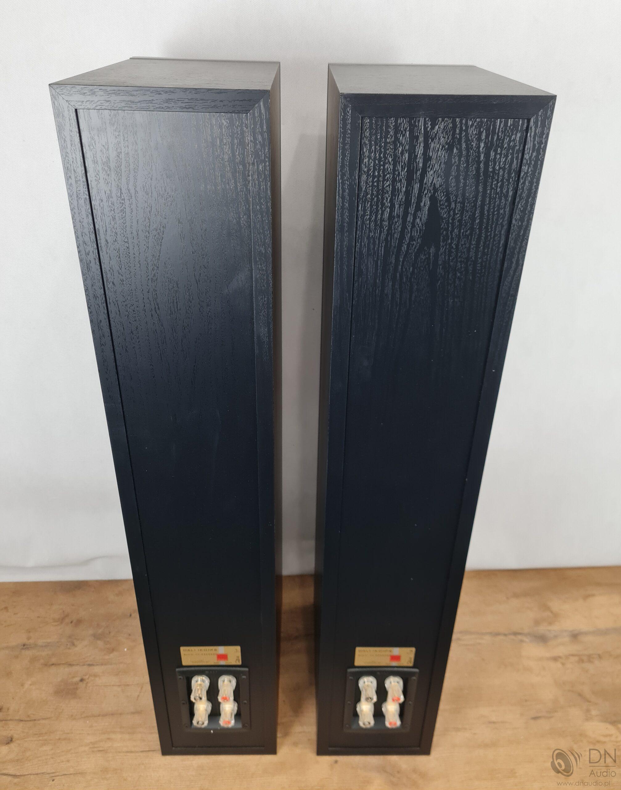 Dali Ikon 6 - obrazek 11