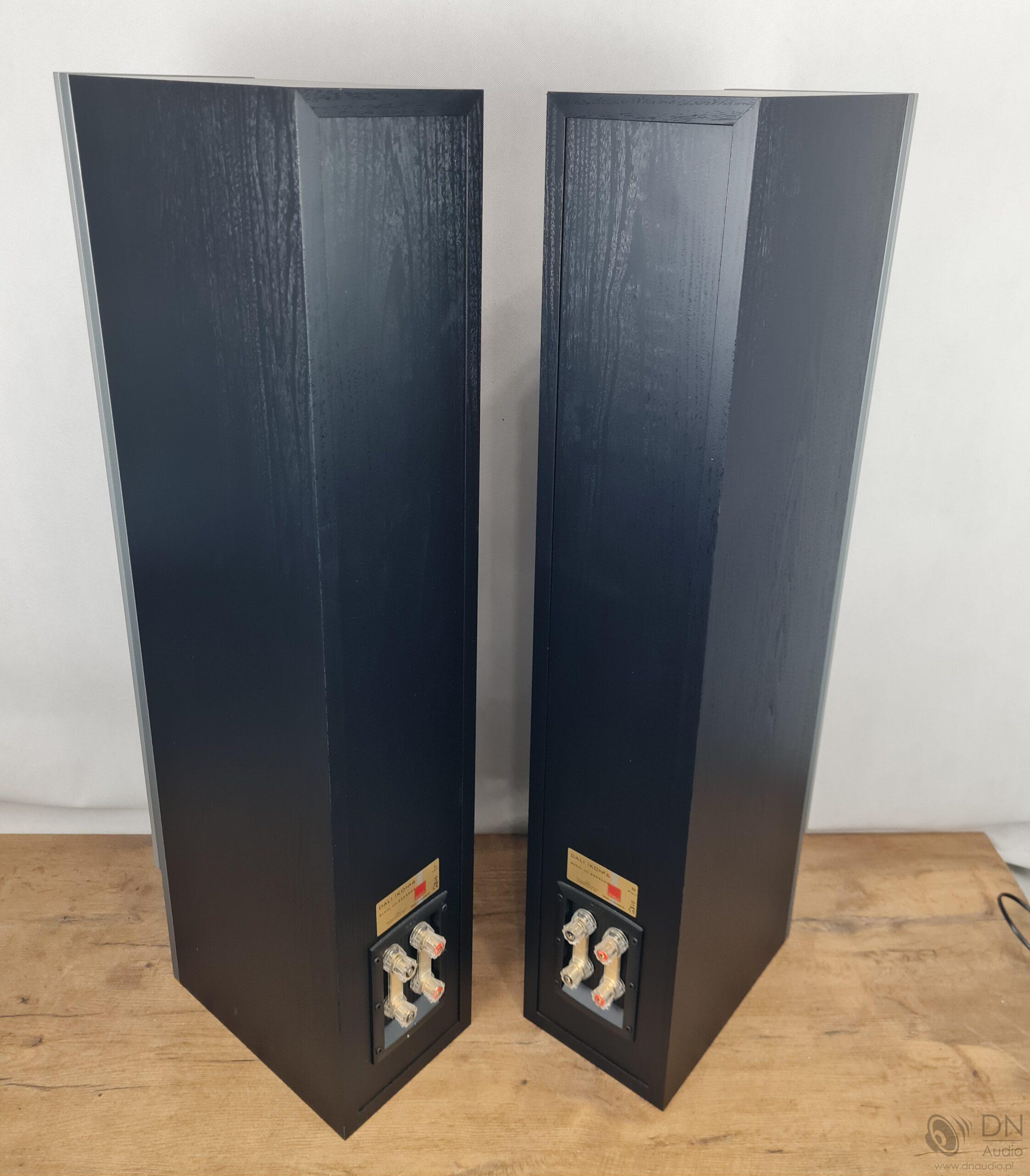 Dali Ikon 6 - obrazek 10