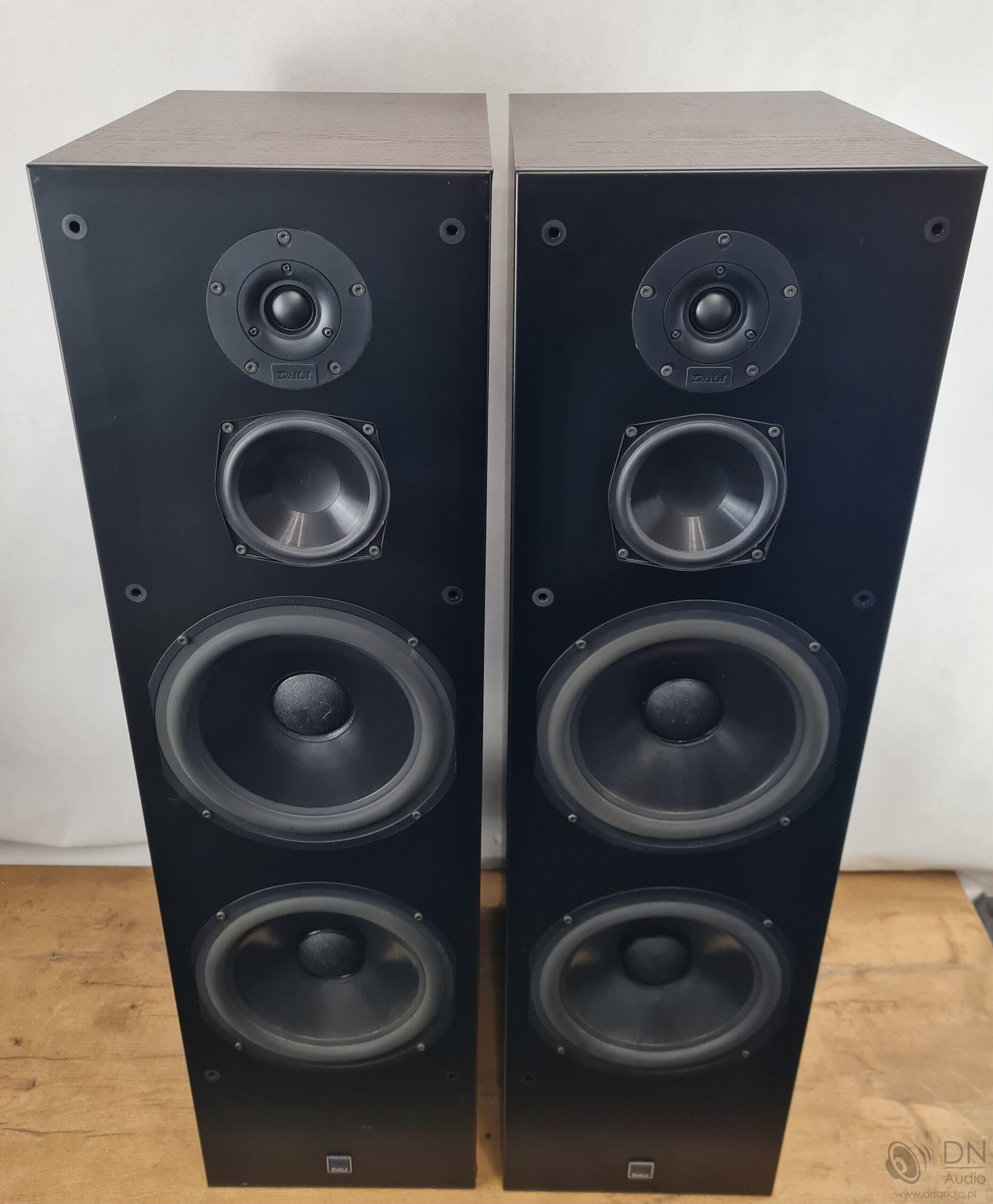 Dali 909 - obrazek 2