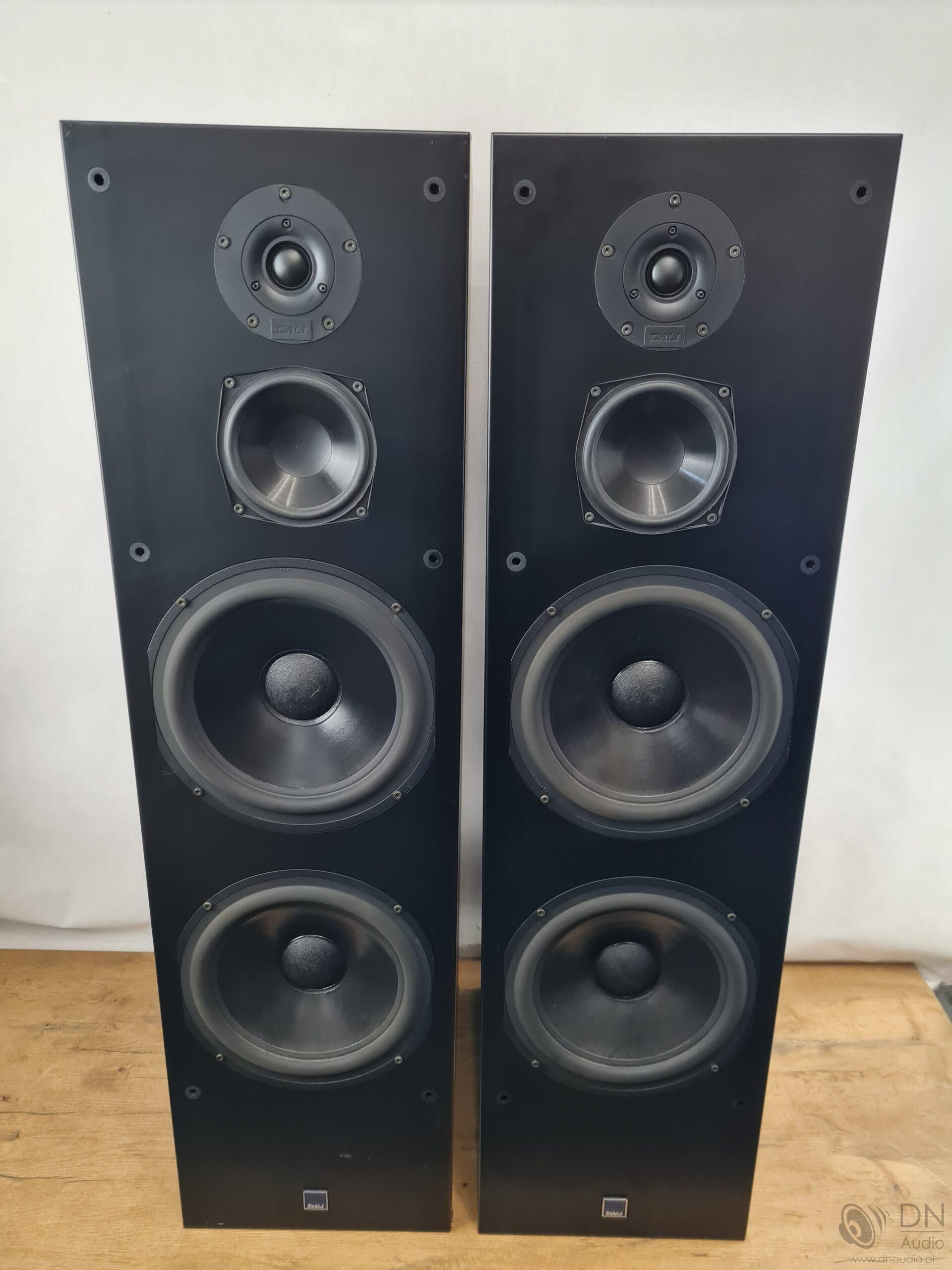 Dali 909 - obrazek 3