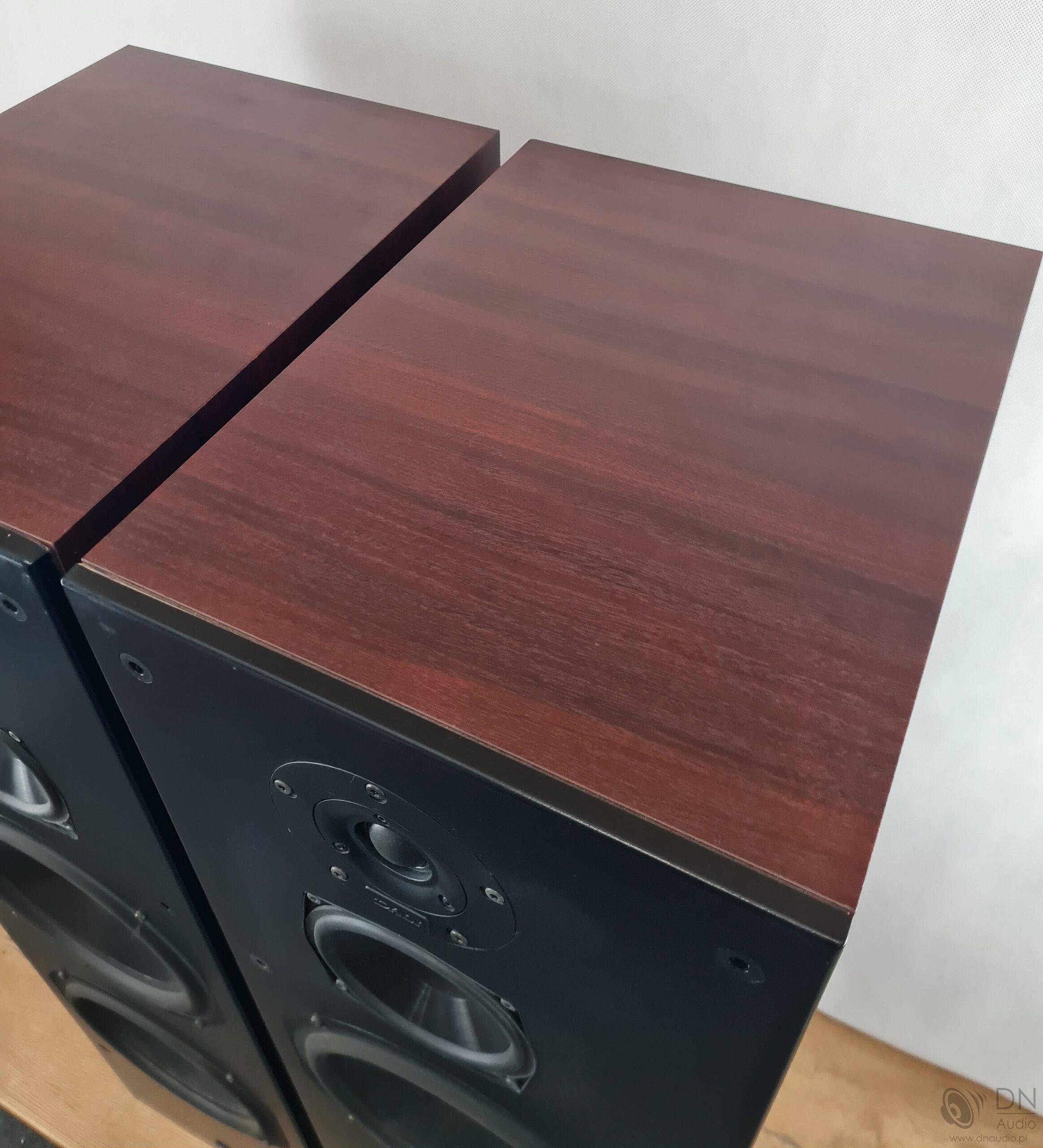 Dali 909 - obrazek 8