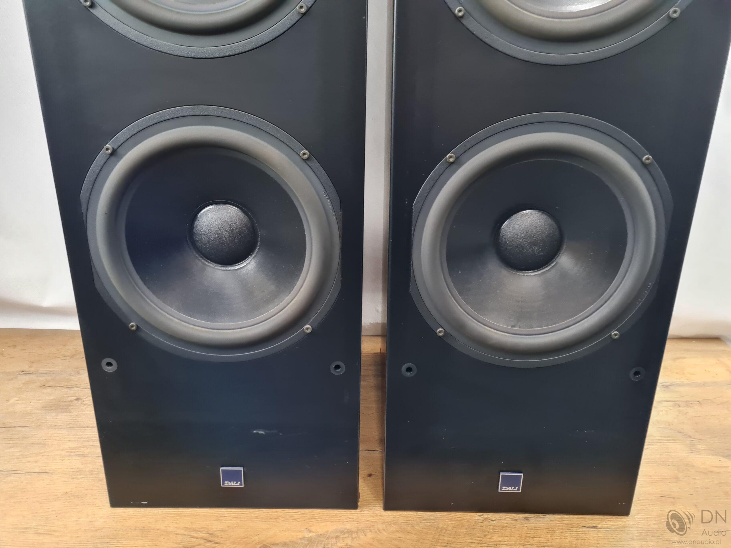 Dali 909 - obrazek 6